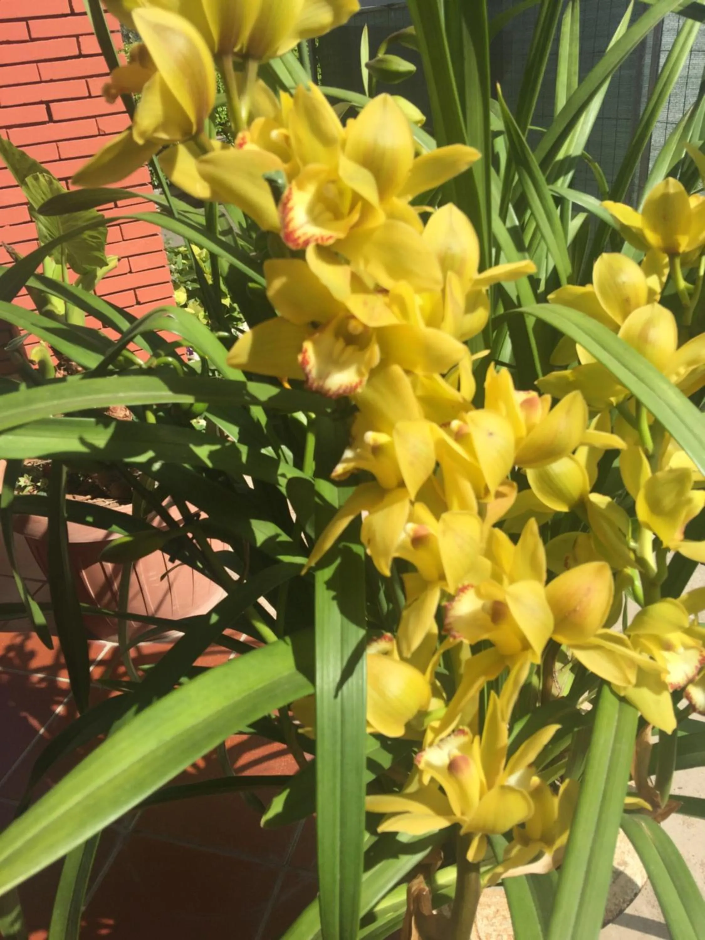 Property building in Relais Villa Italia