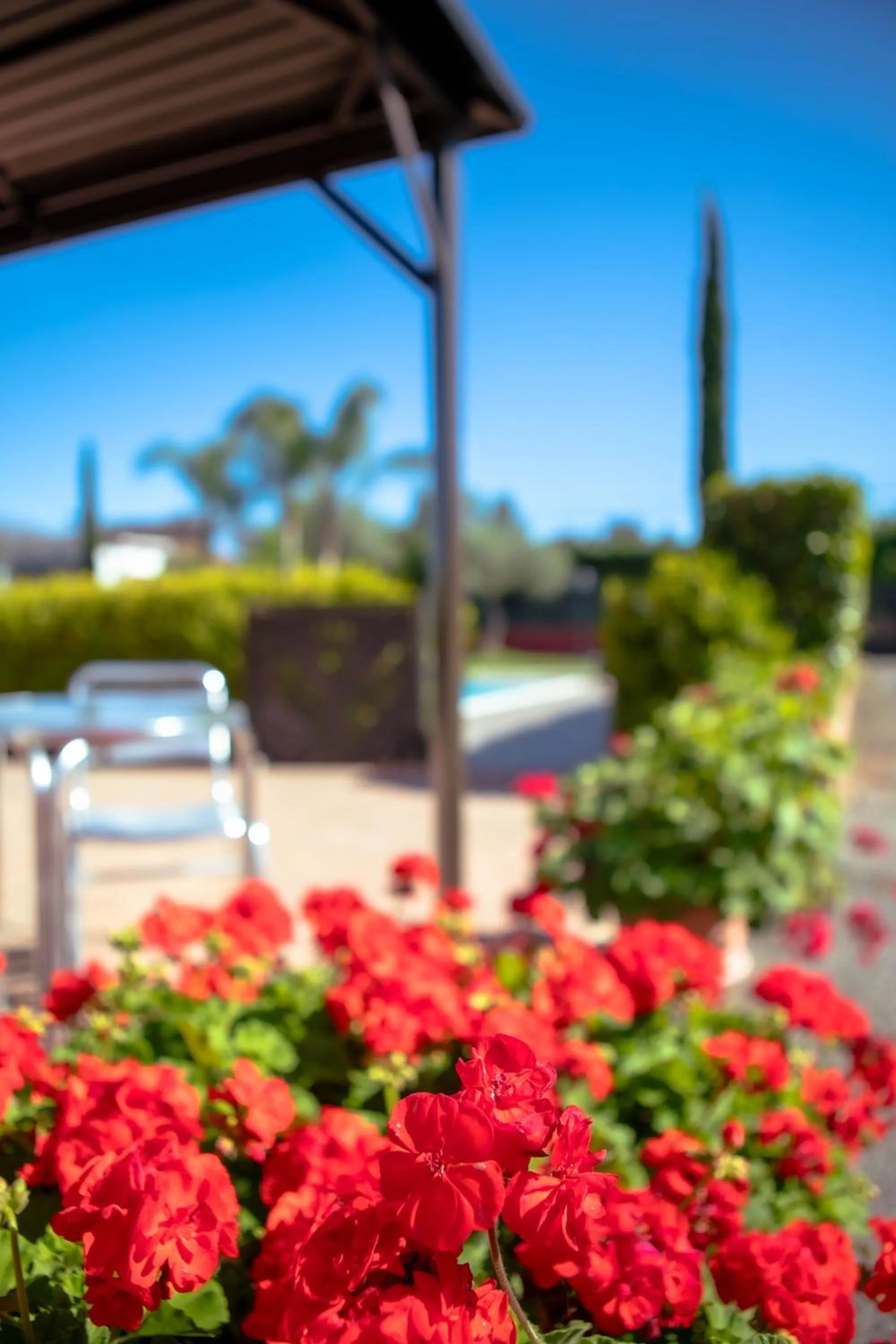 Garden in Relais Villa Italia