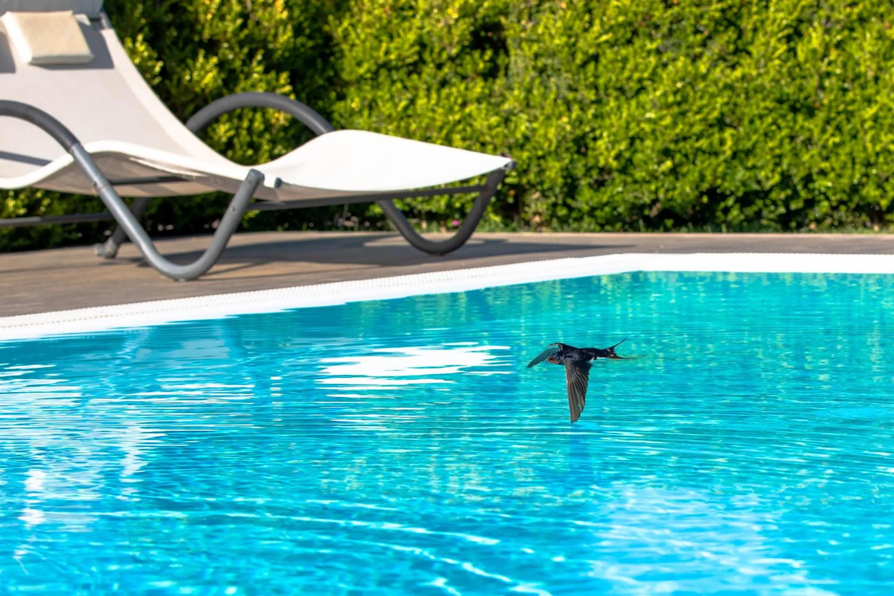 Swimming pool in Relais Villa Italia