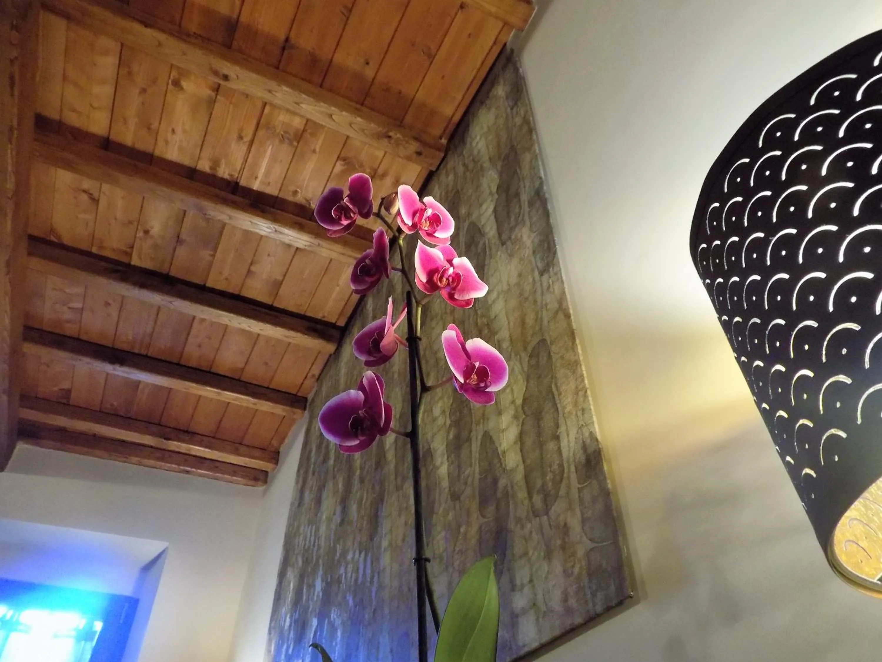 Decorative detail in Al Cardinale