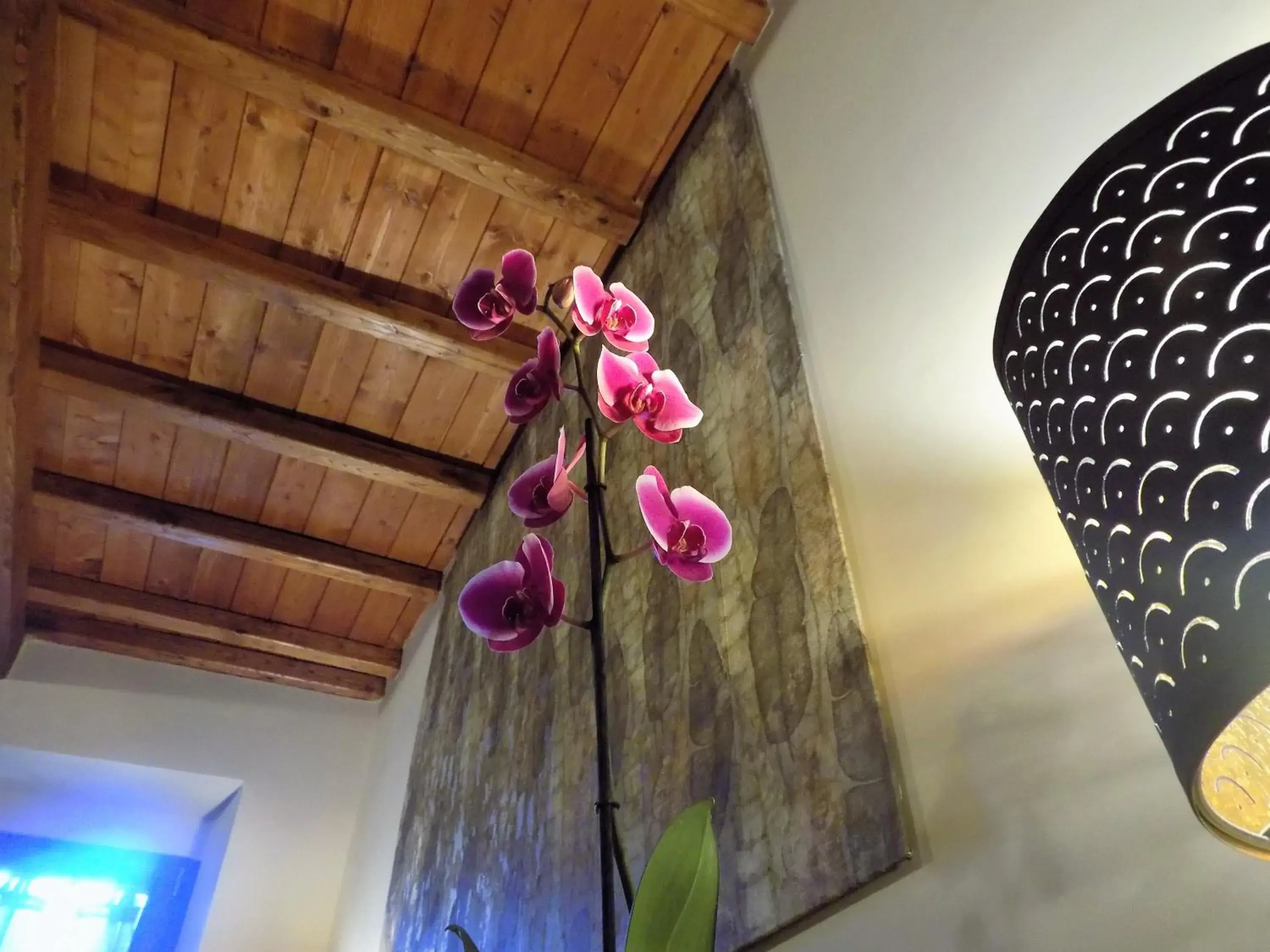 Superior Double Room in Al Cardinale Superior Double Room in Al Cardinale