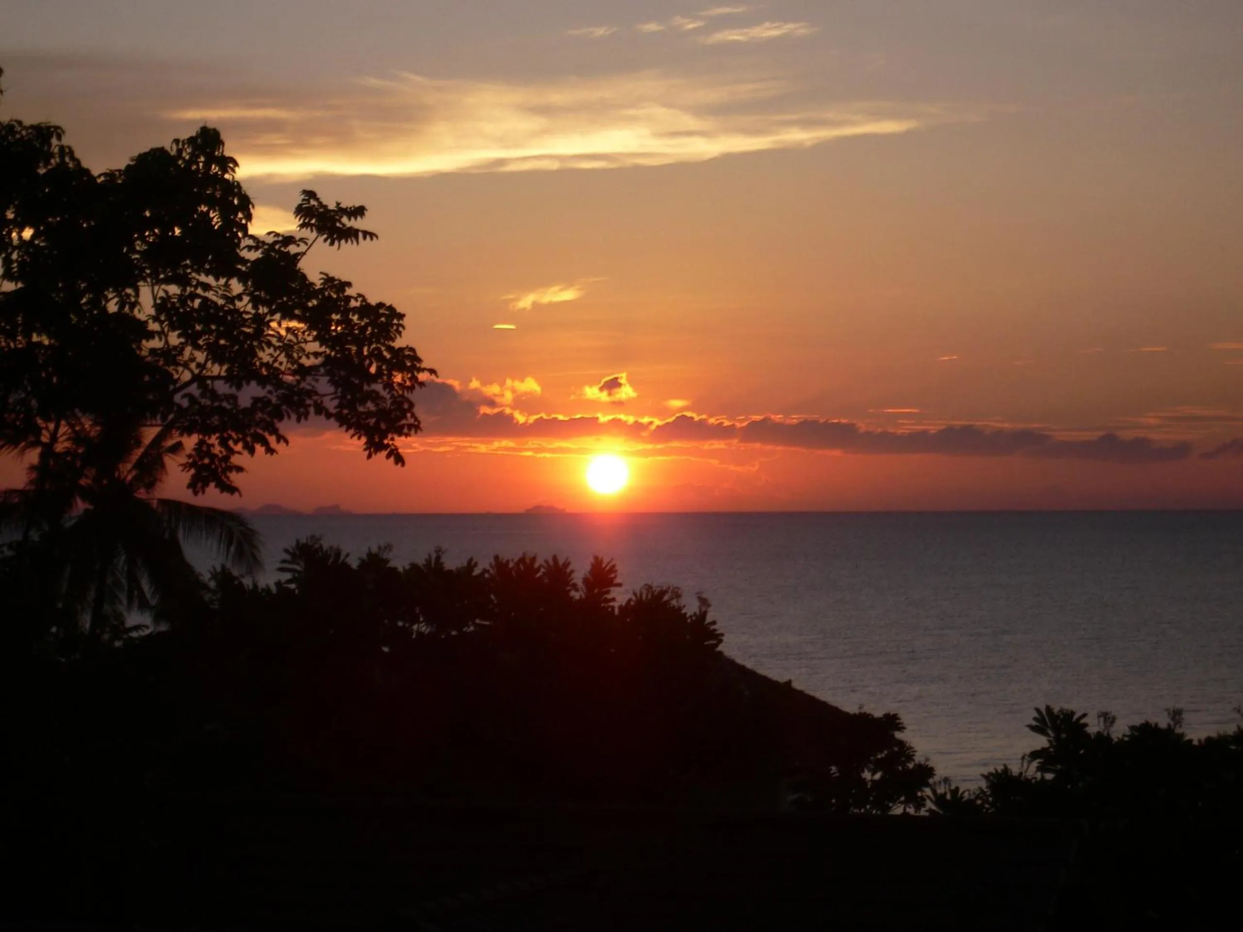 View (from property/room) in High Life Bungalow