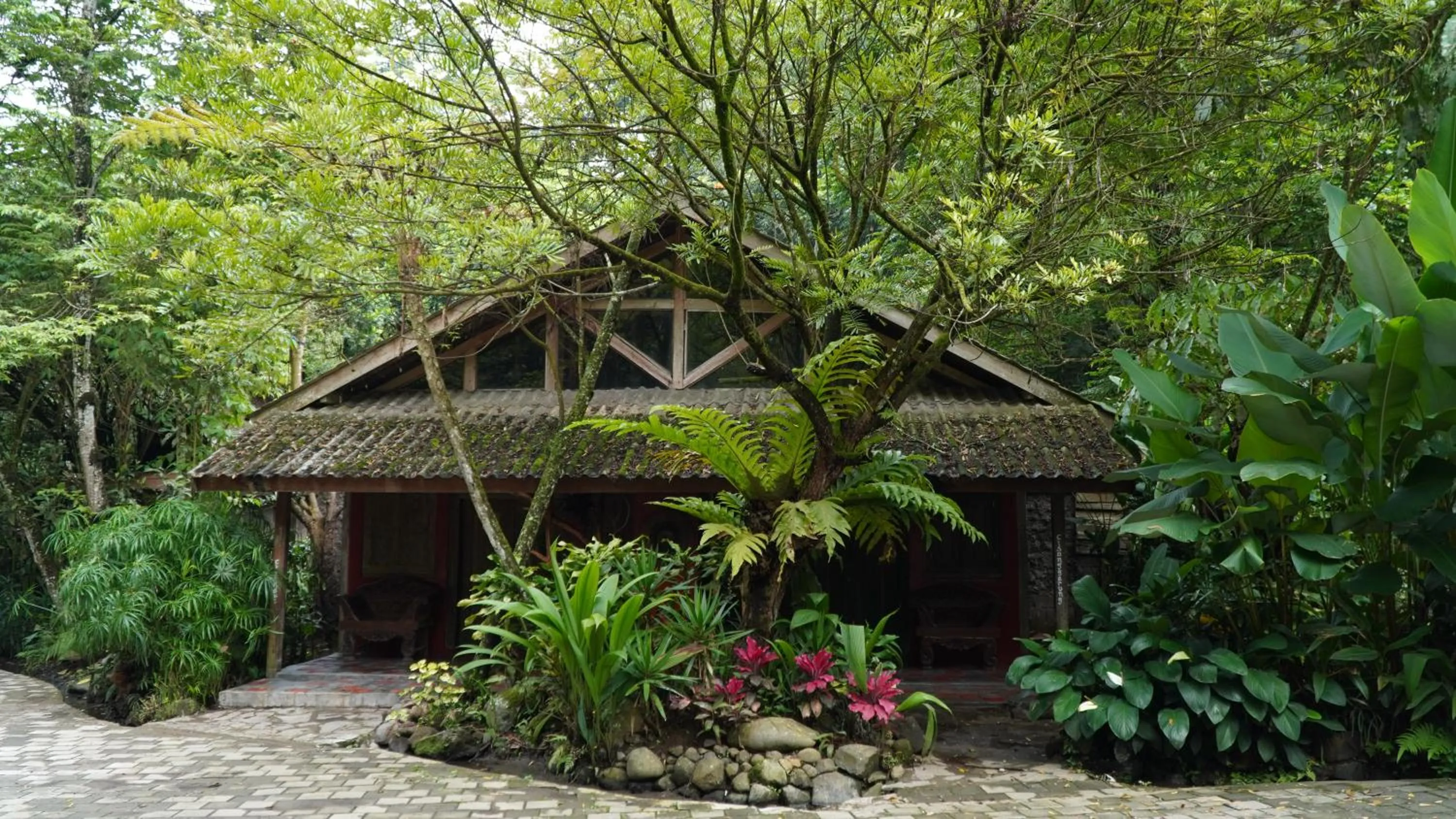 Property building in Imah Seniman