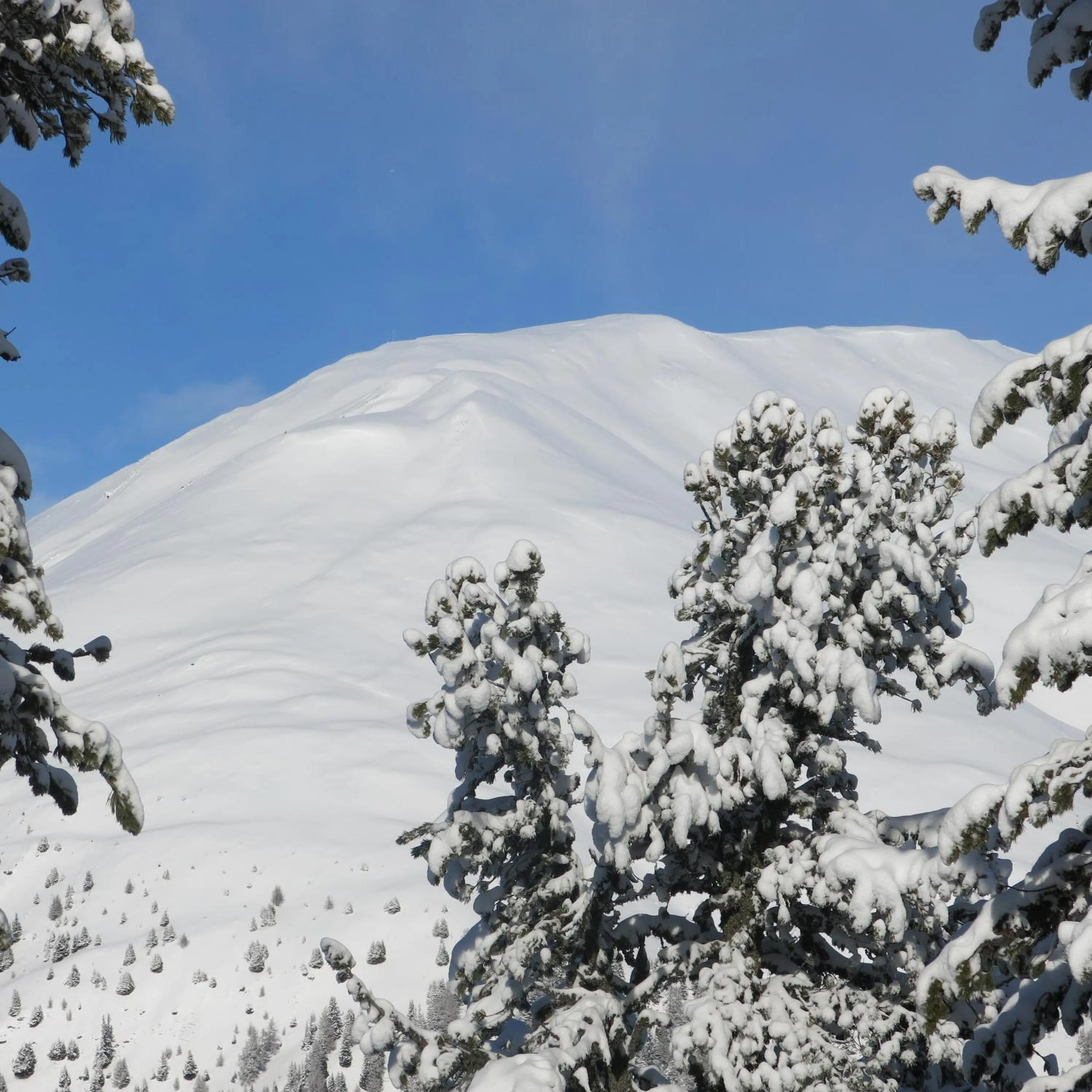 Skiing in Alpin Art & Spa Hotel Naudererhof Superior