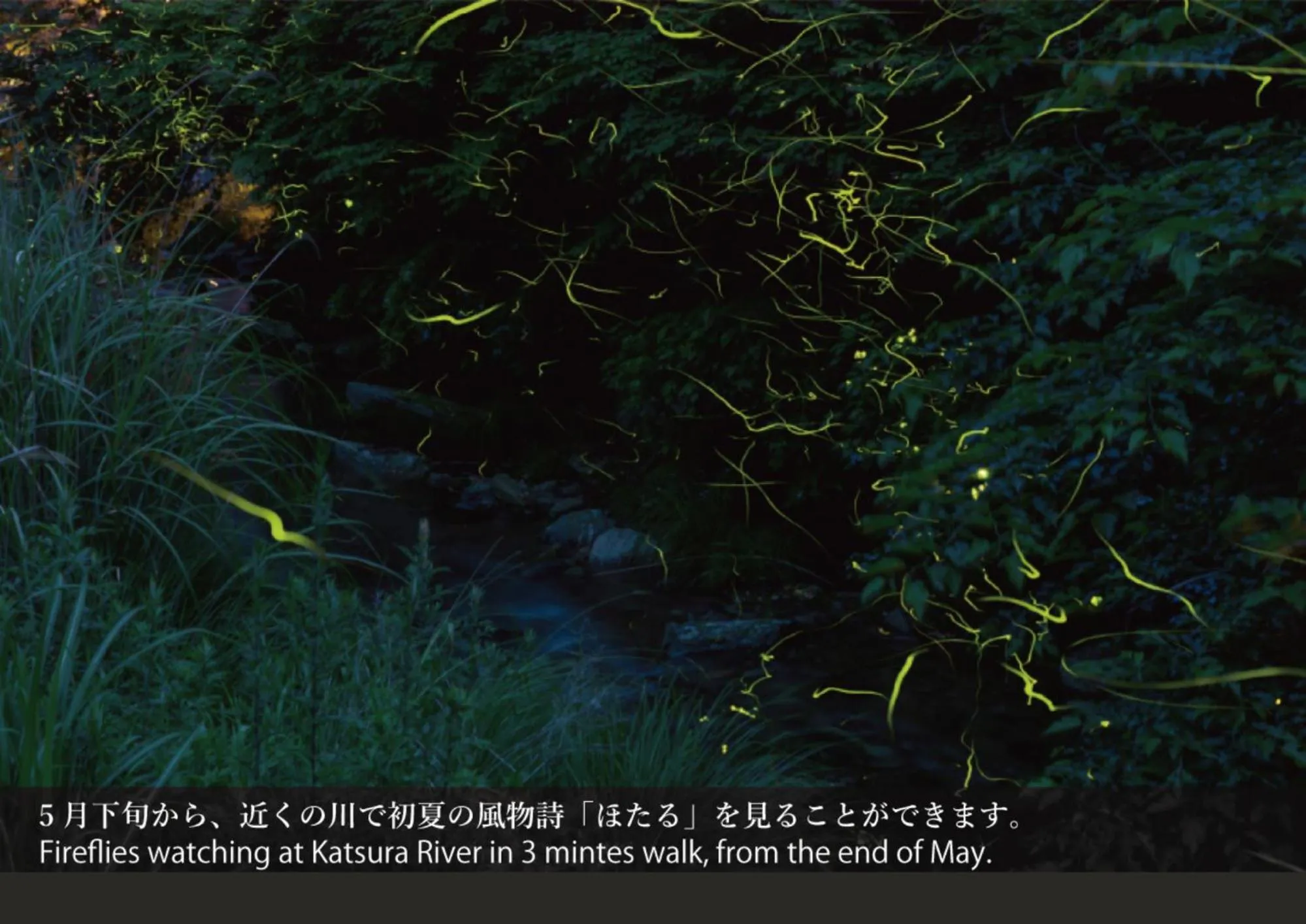 Nearby landmark in Hostel Knot