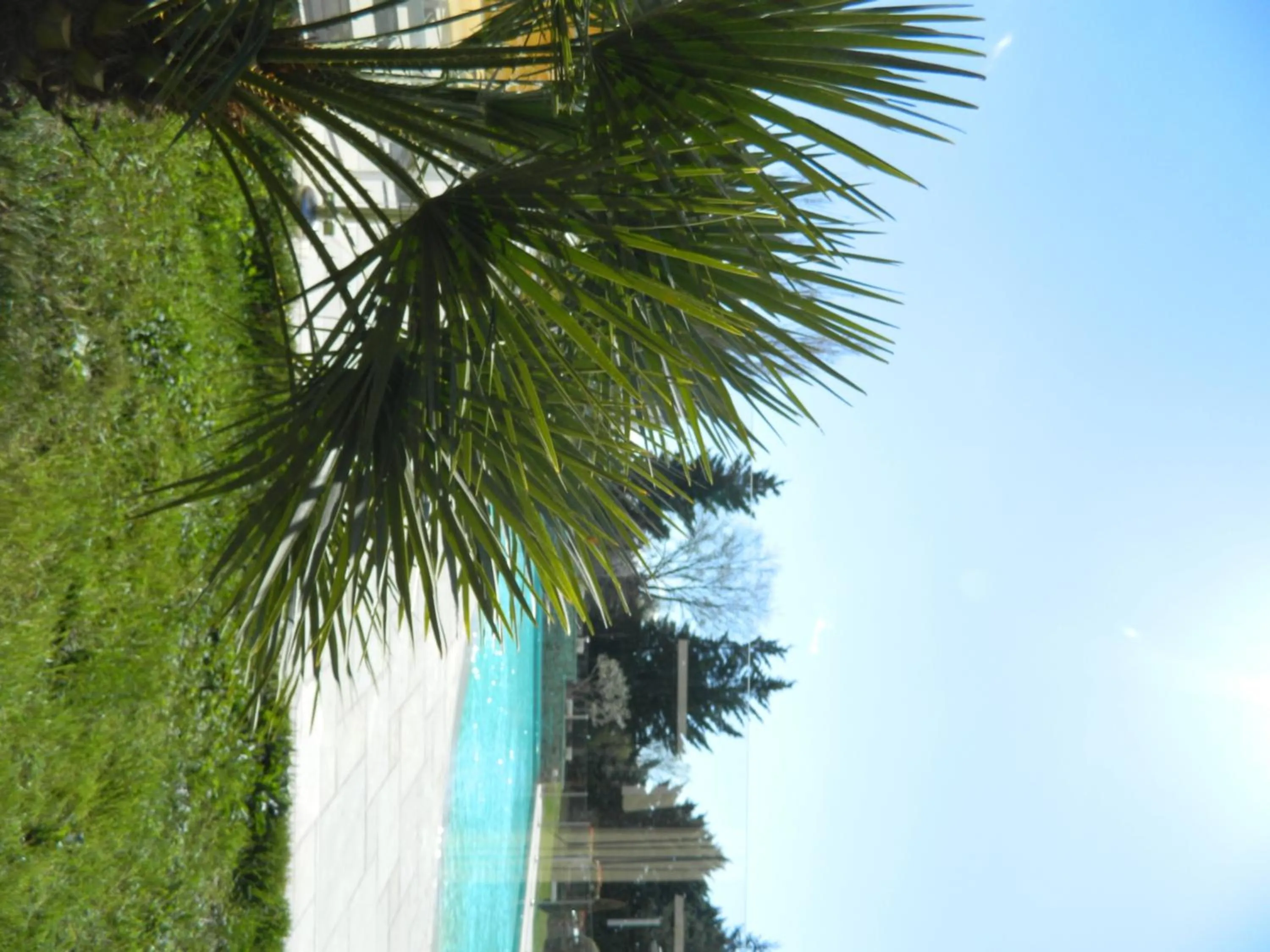 Pool view in Hotel Restaurant La Martiniere