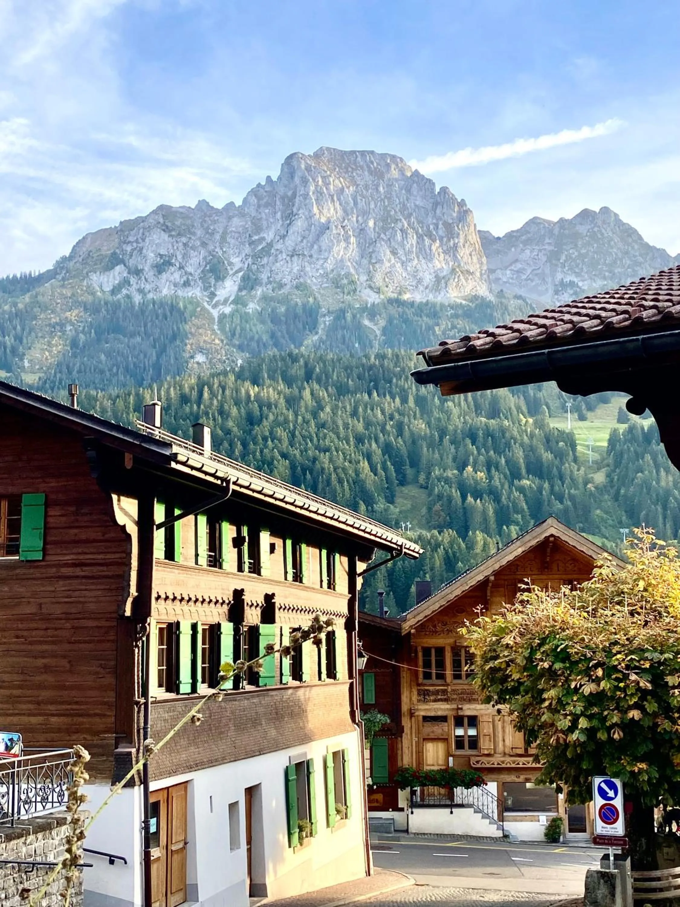 Property building in Hotel de Commune
