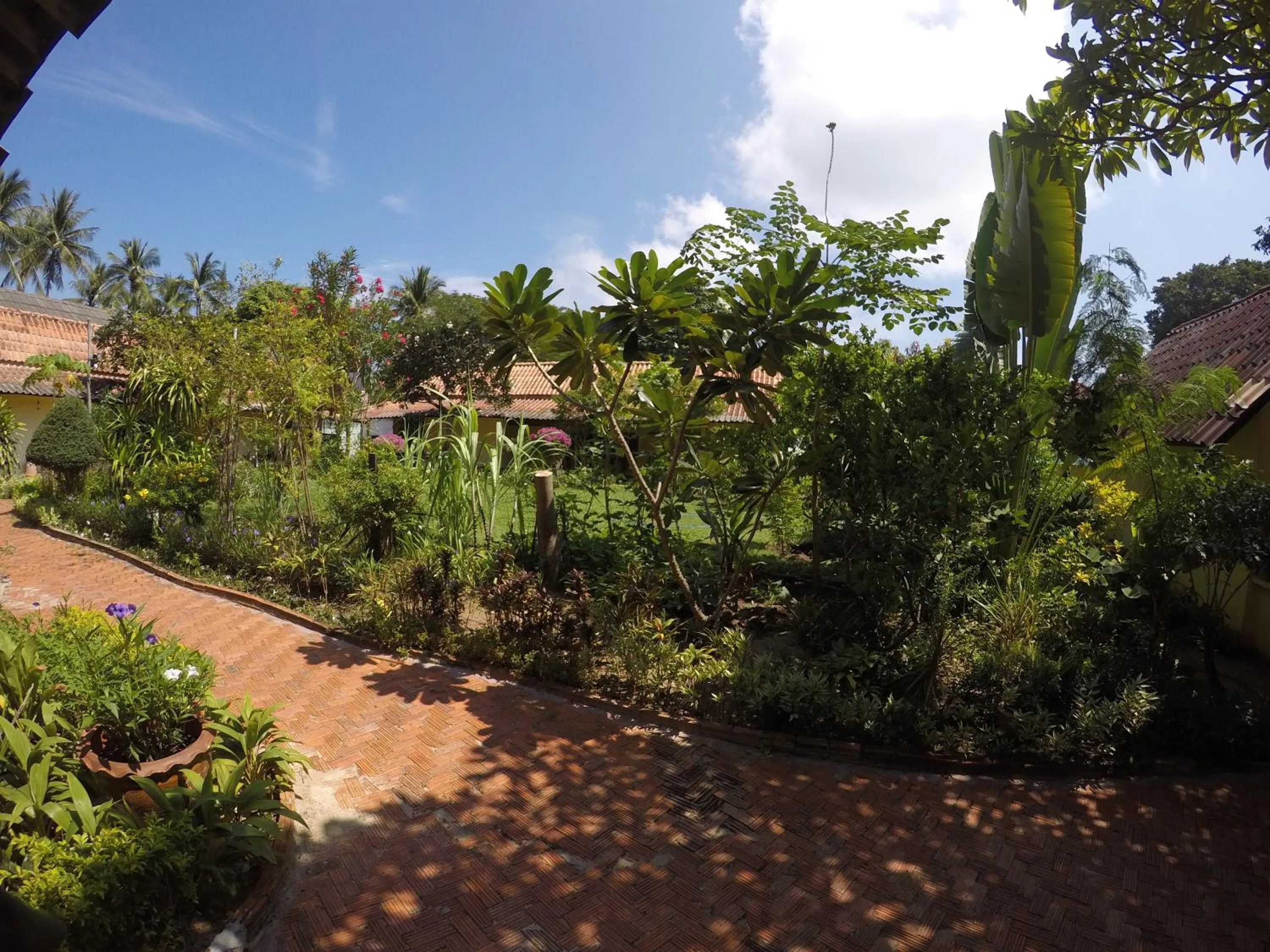 Garden in OP Bungalow