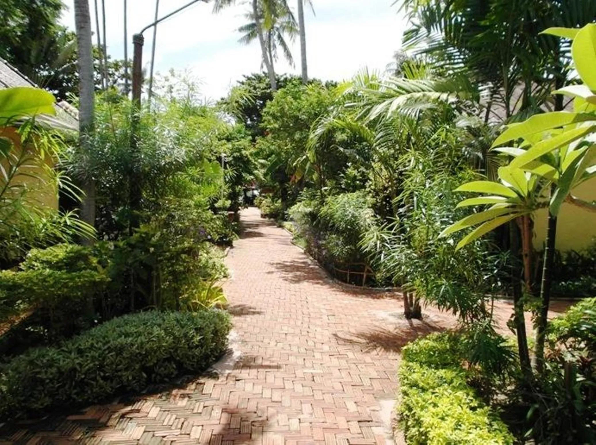 Garden in OP Bungalow
