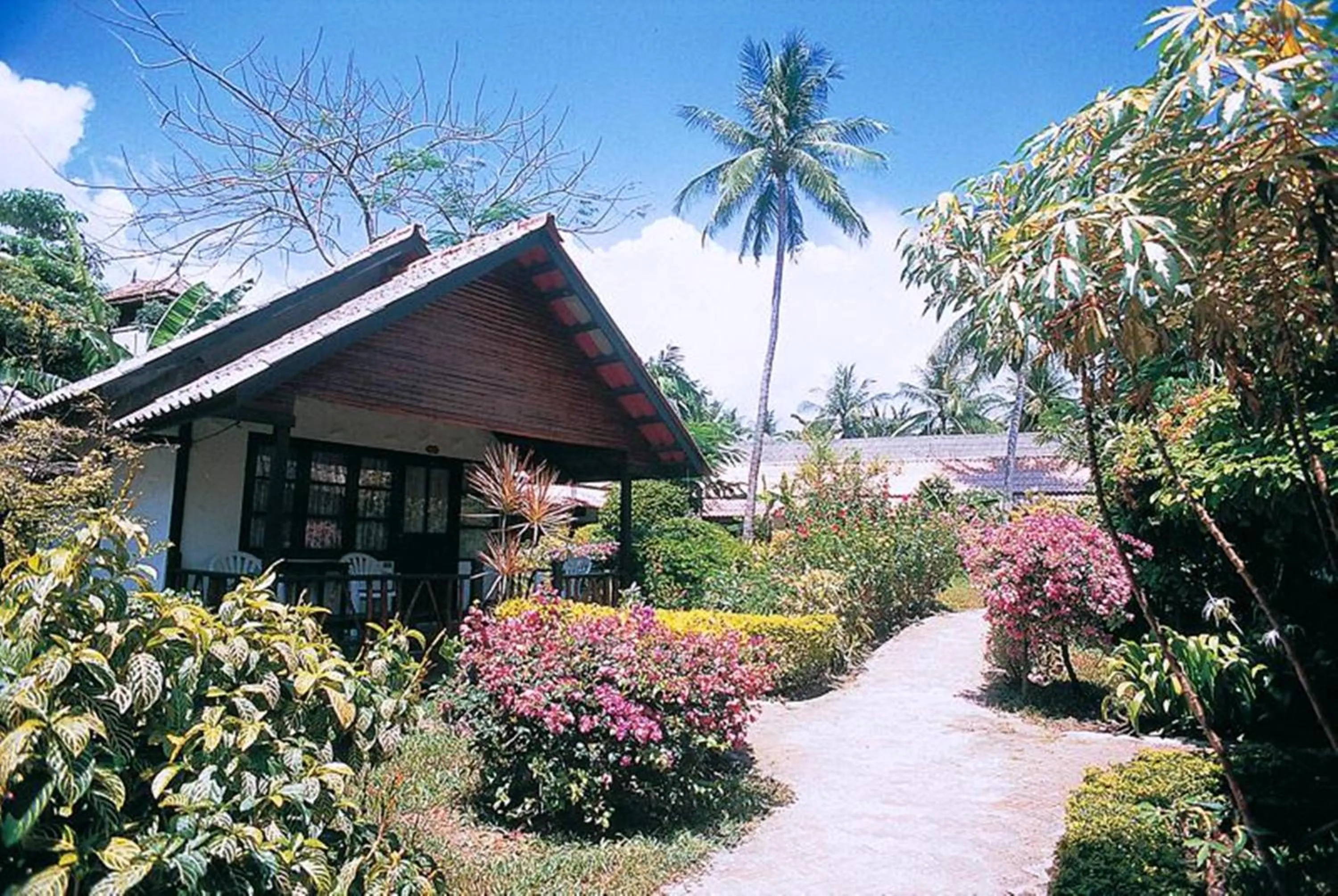 Garden in OP Bungalow