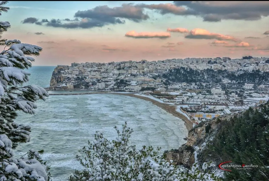 Day in B&B Dolce Idea