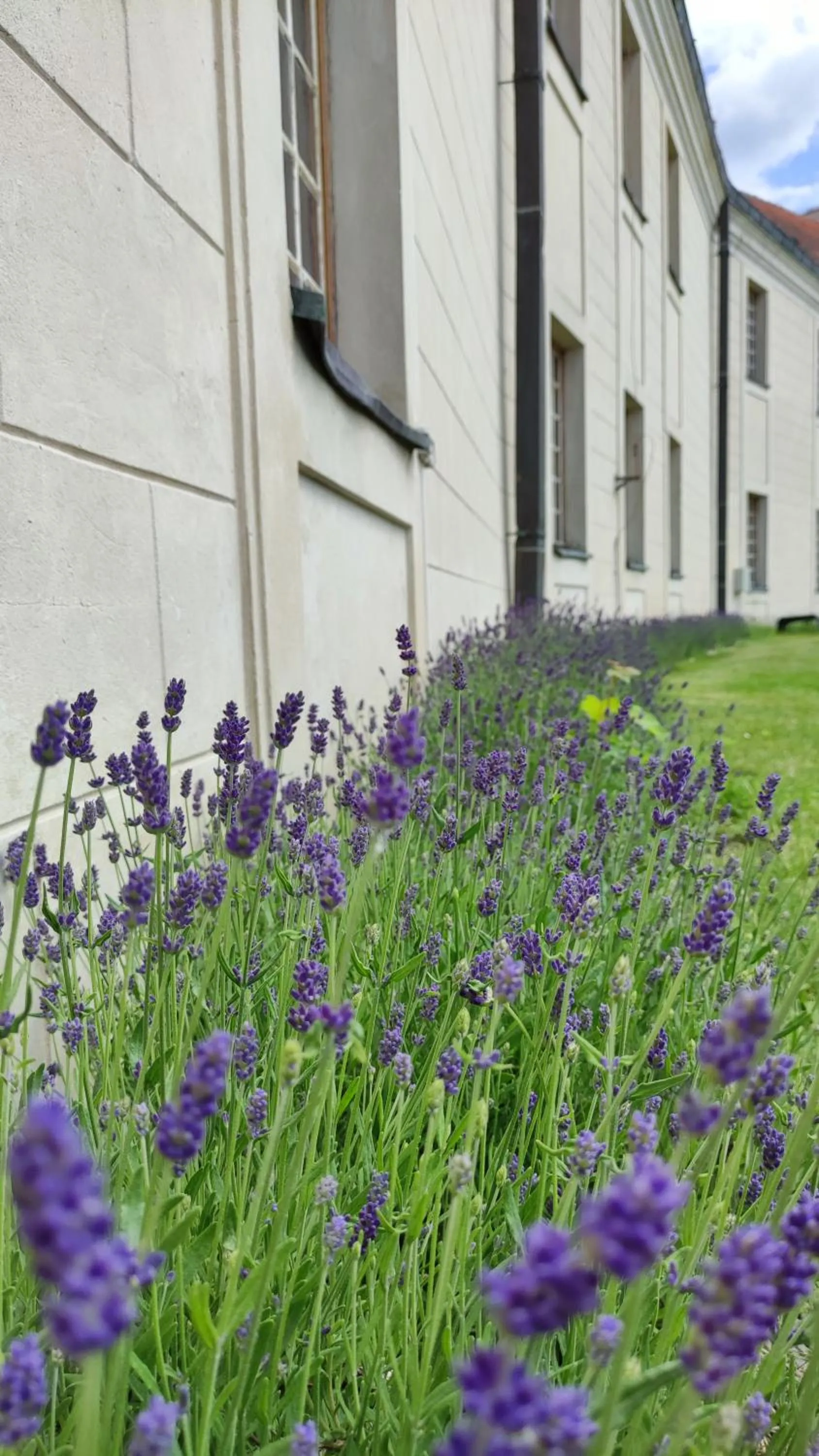 Garden in Hotel Podklasztorze