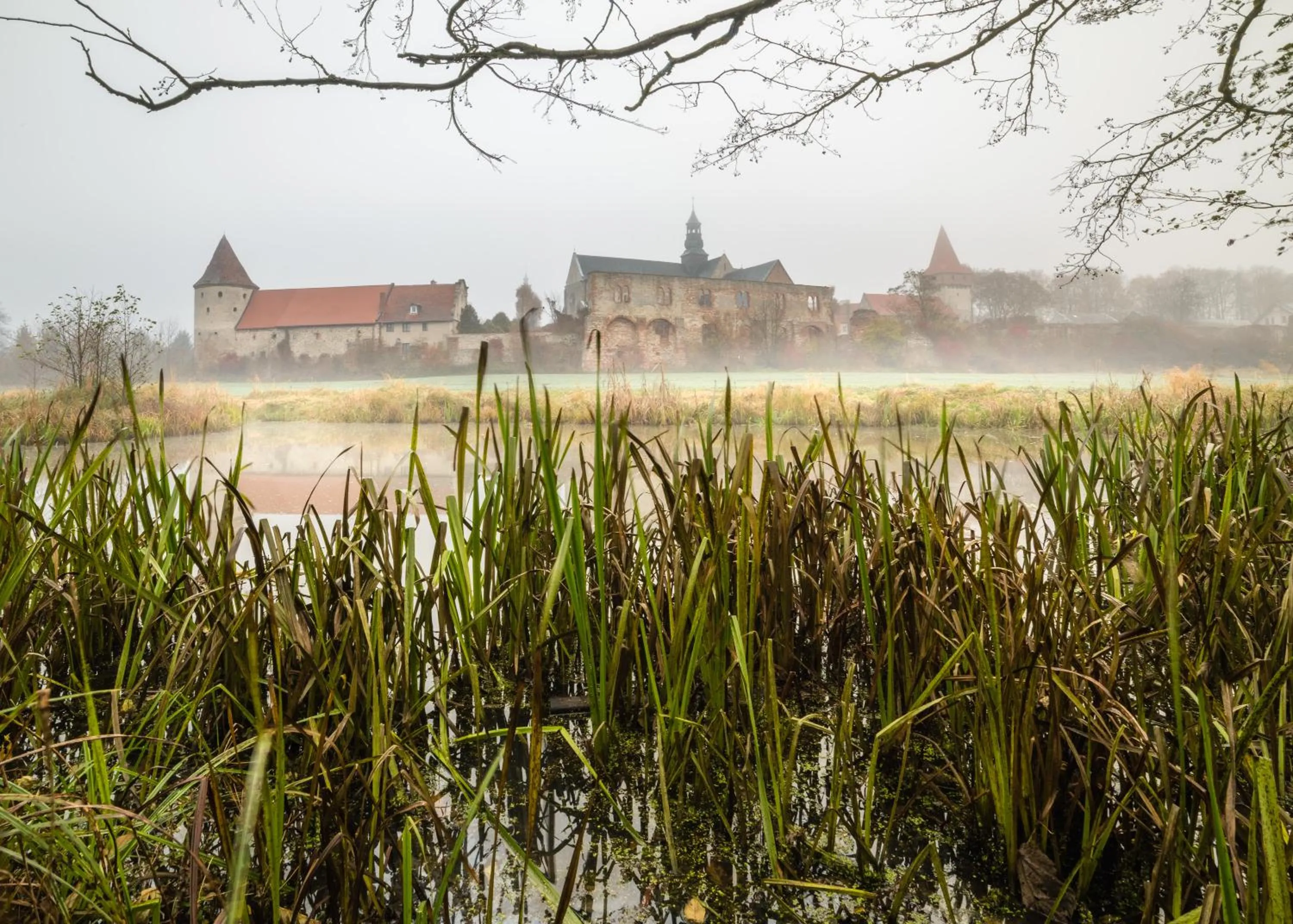 Natural landscape in Hotel Podklasztorze