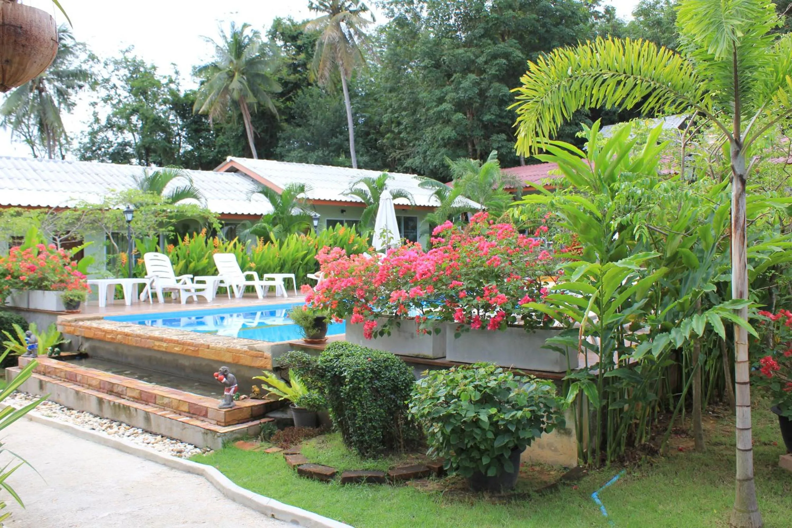 Garden in Phuket Muay Thai House