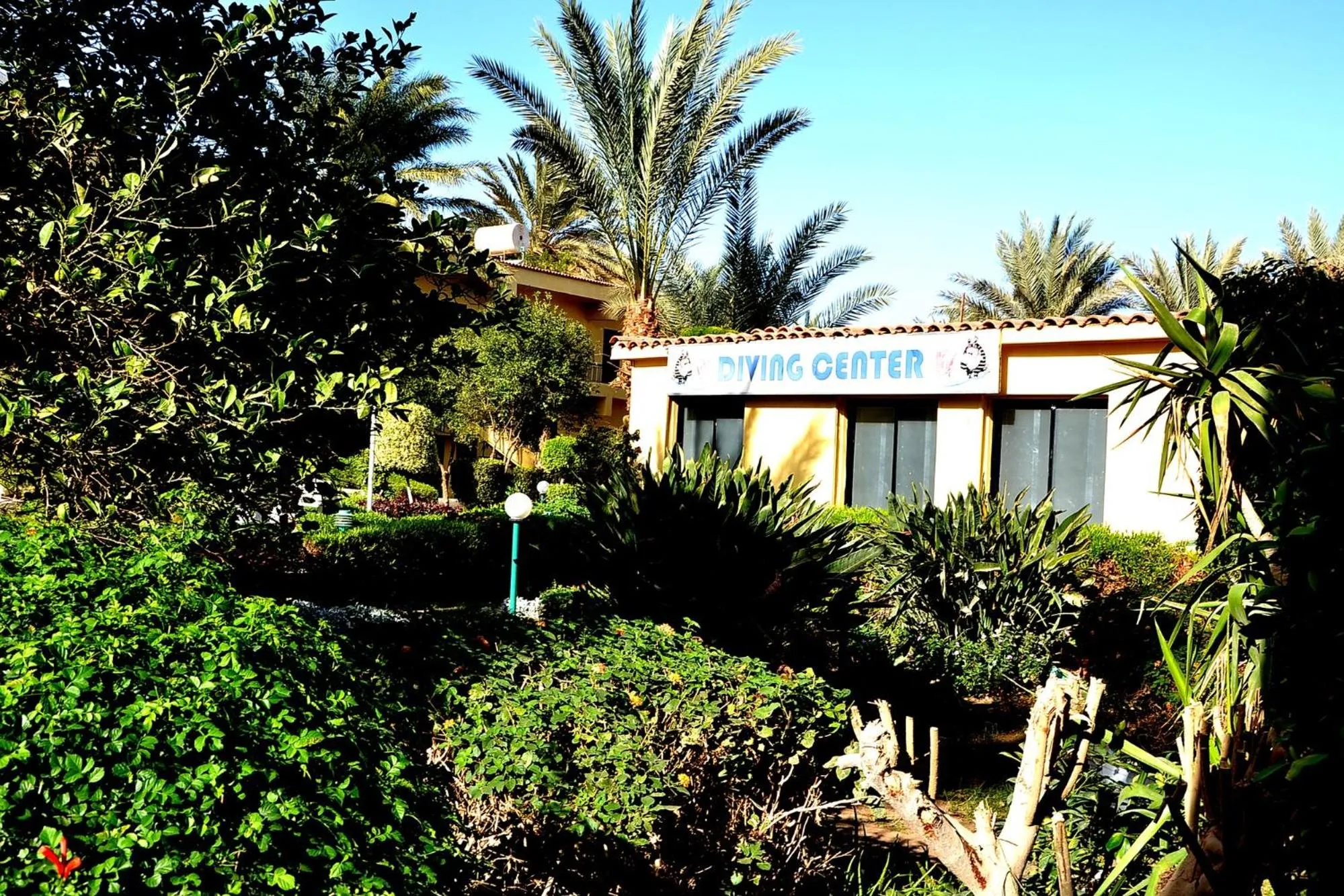 Garden in Sand Beach Resort