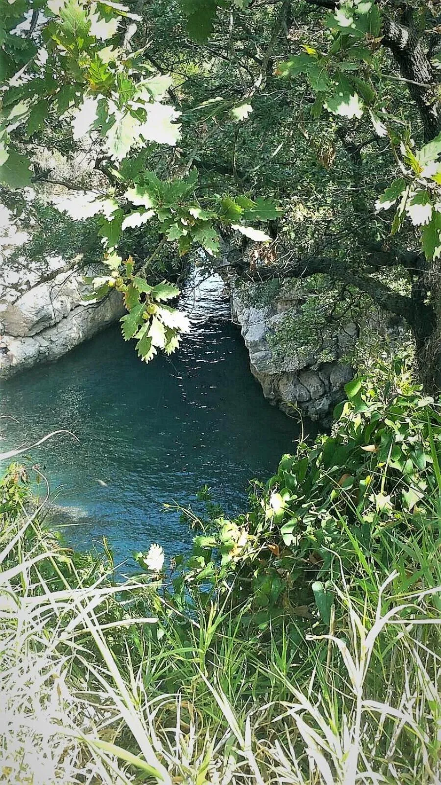 Nearby landmark in Hotel Villa Igea