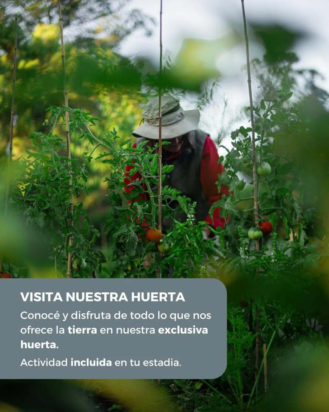 Activities in Estancia Ave María