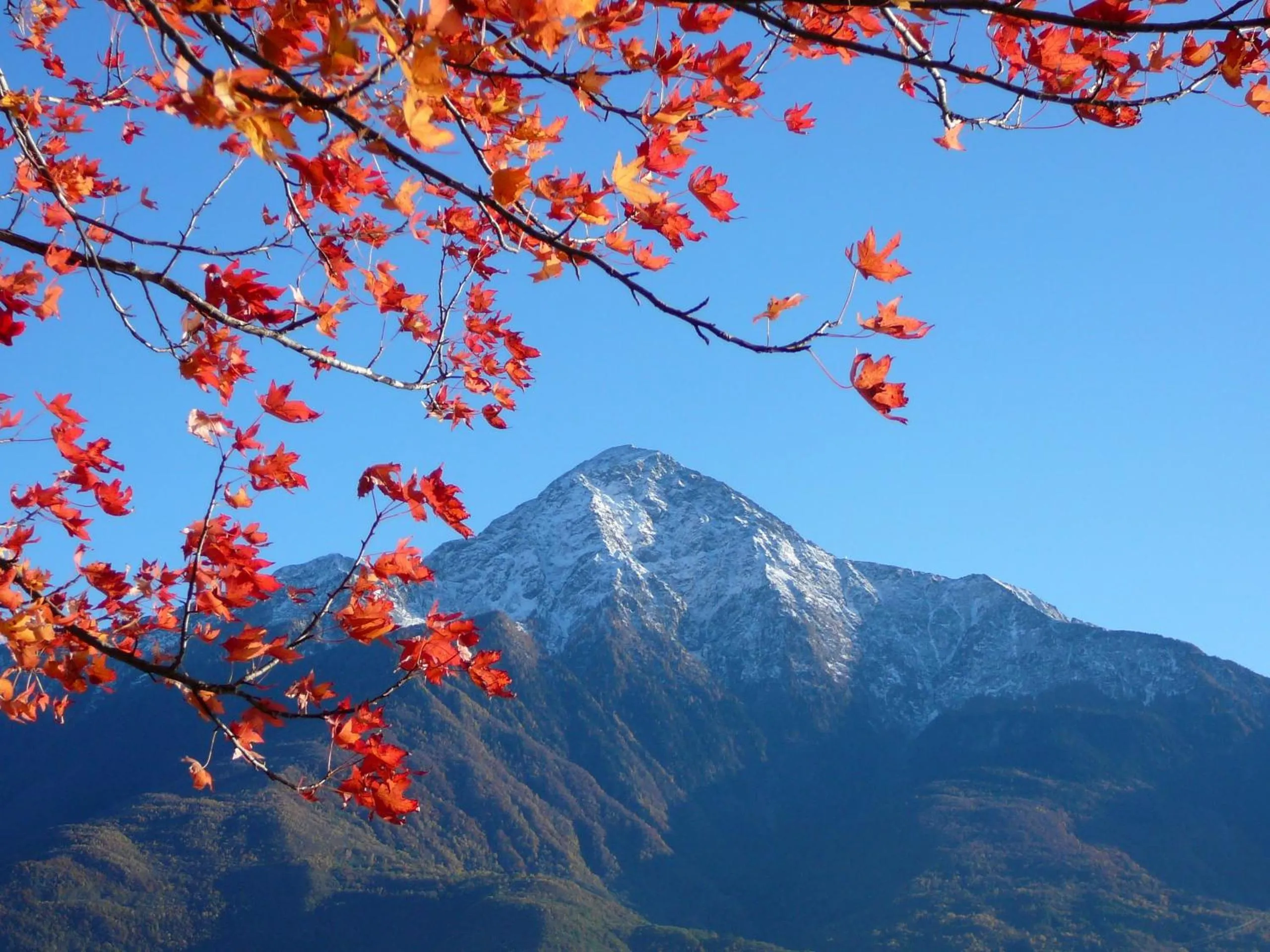 Other in Hotel Europa - Sorico