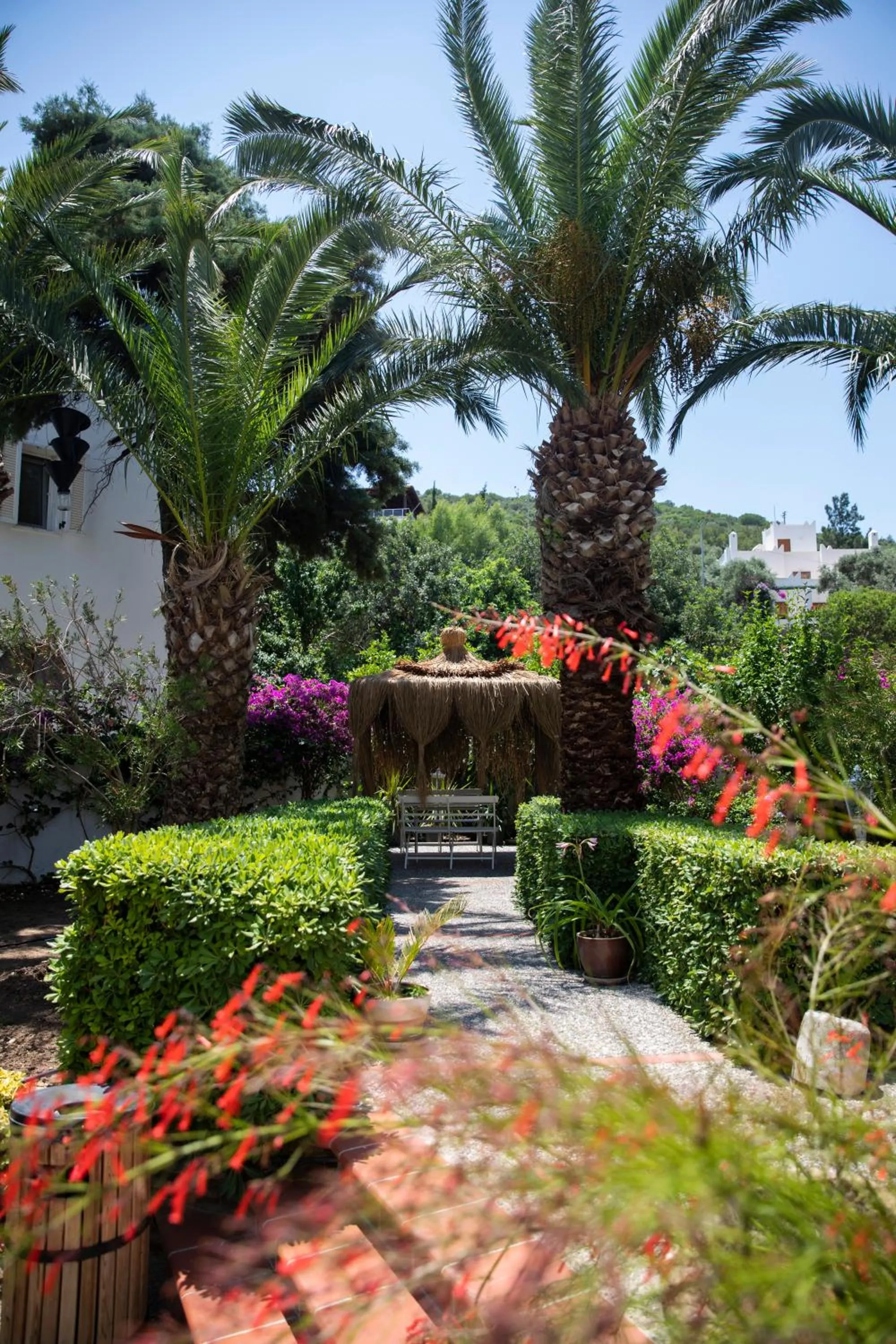Garden in Torbahan Hotel