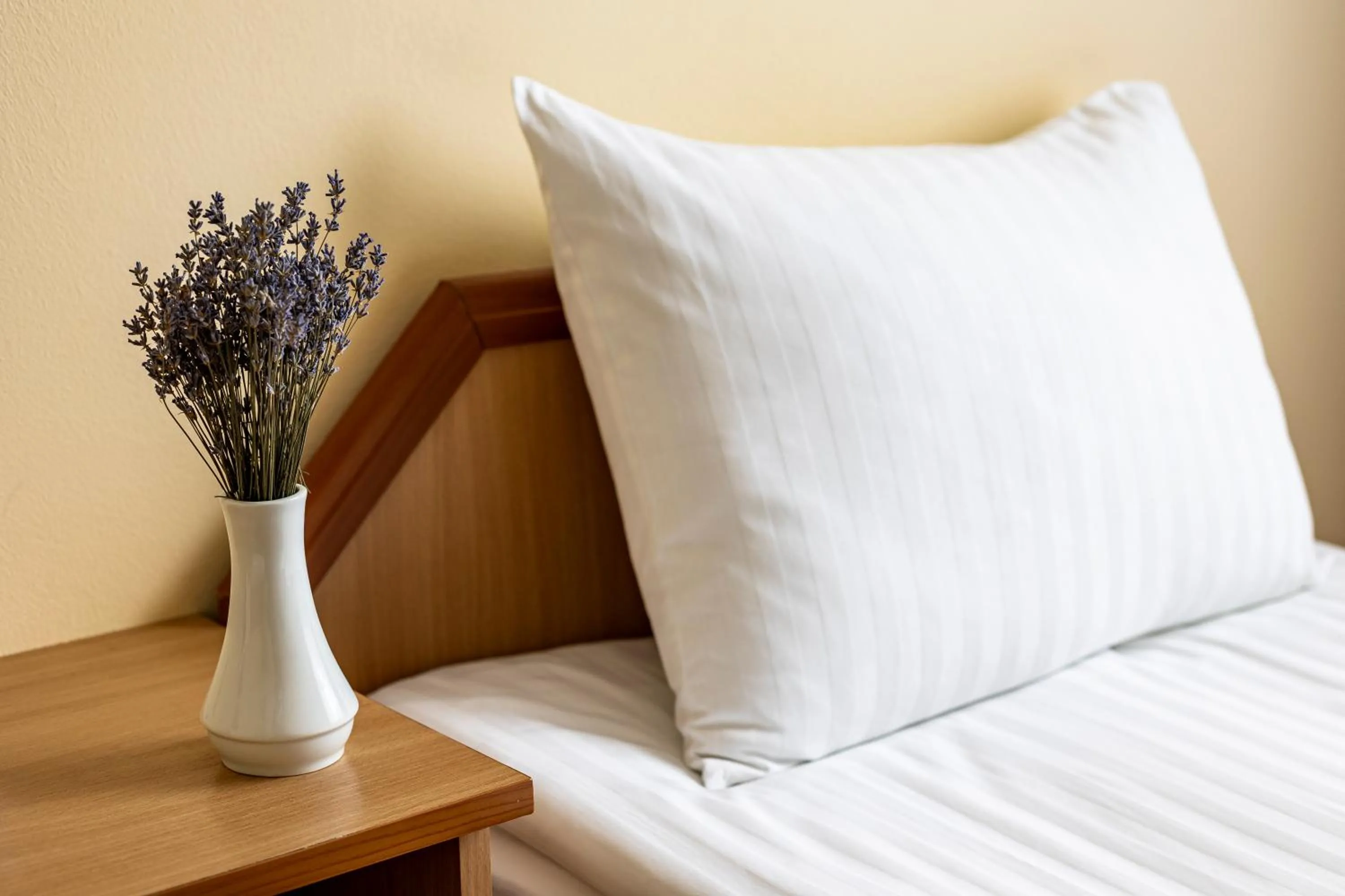 Decorative detail, Bed in Hotel Galaktika