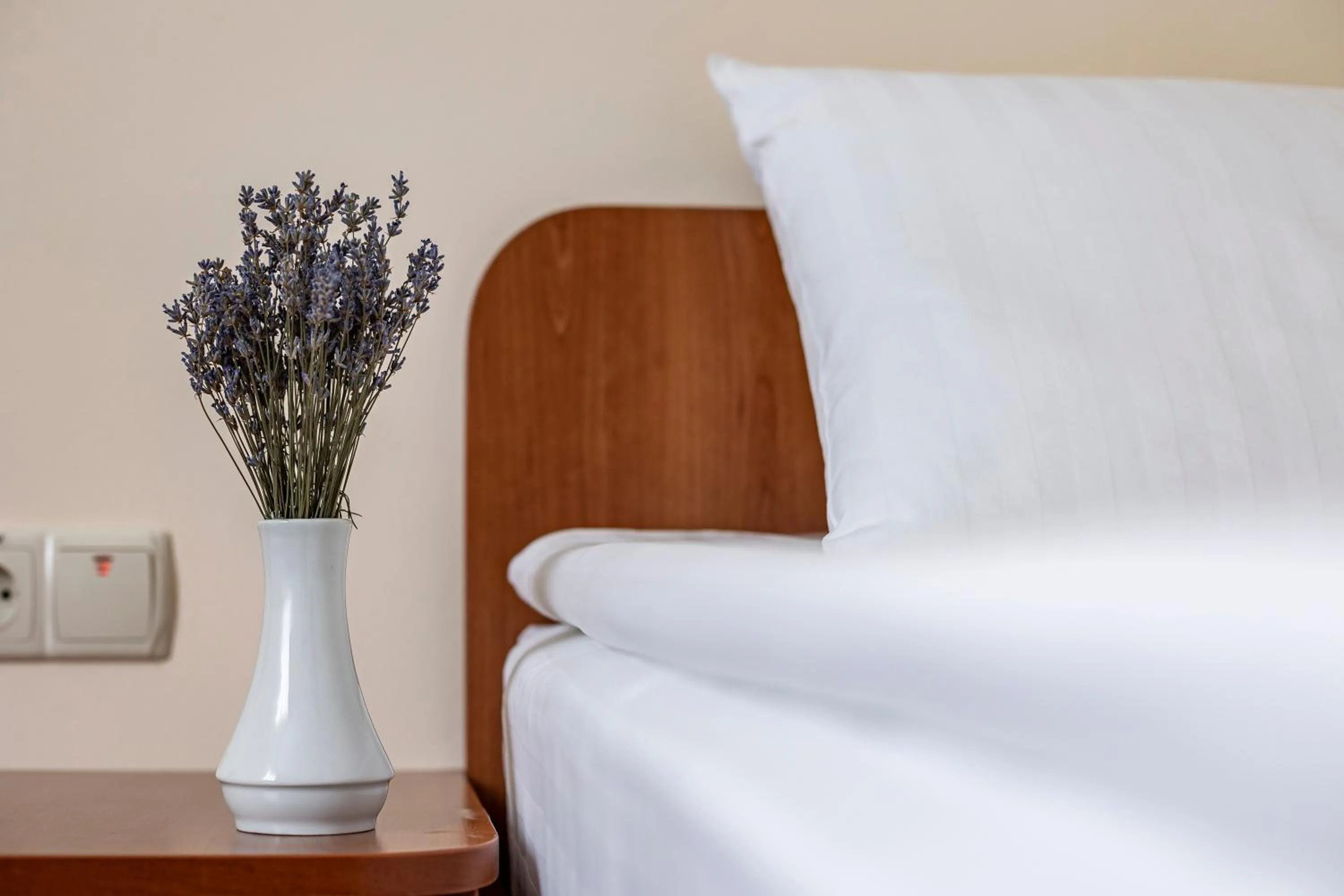 Decorative detail, Bed in Hotel Galaktika