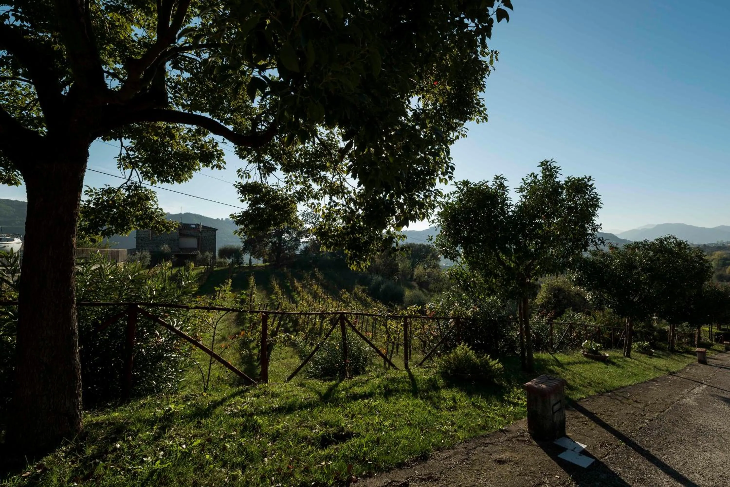 Bird's eye view in Tenuta D'Amore