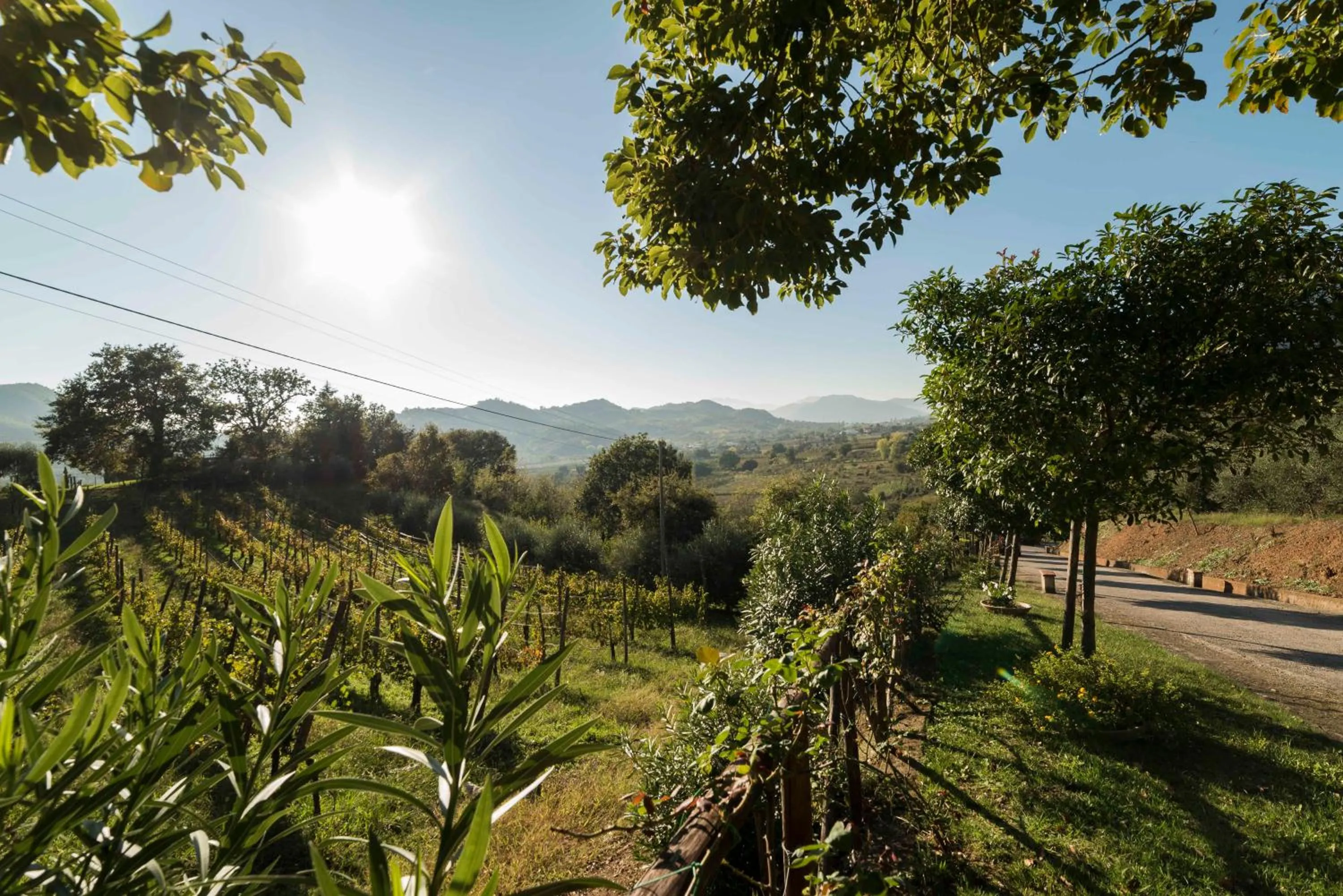 Natural landscape in Tenuta D'Amore