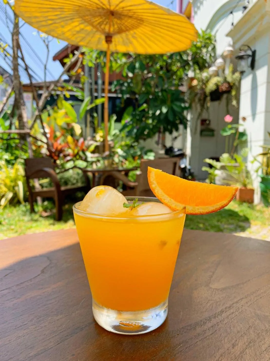 Drinks in Elliebum Boutique Hotel