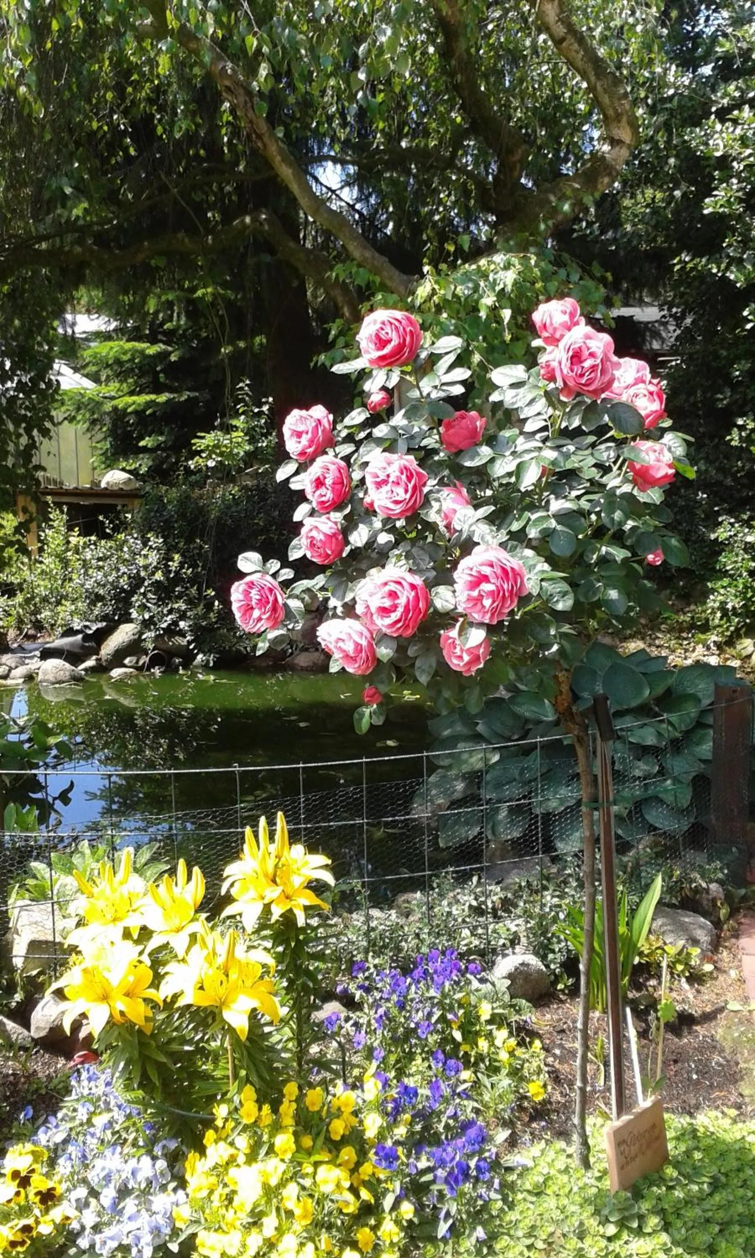 Summer in Landhaus Burs