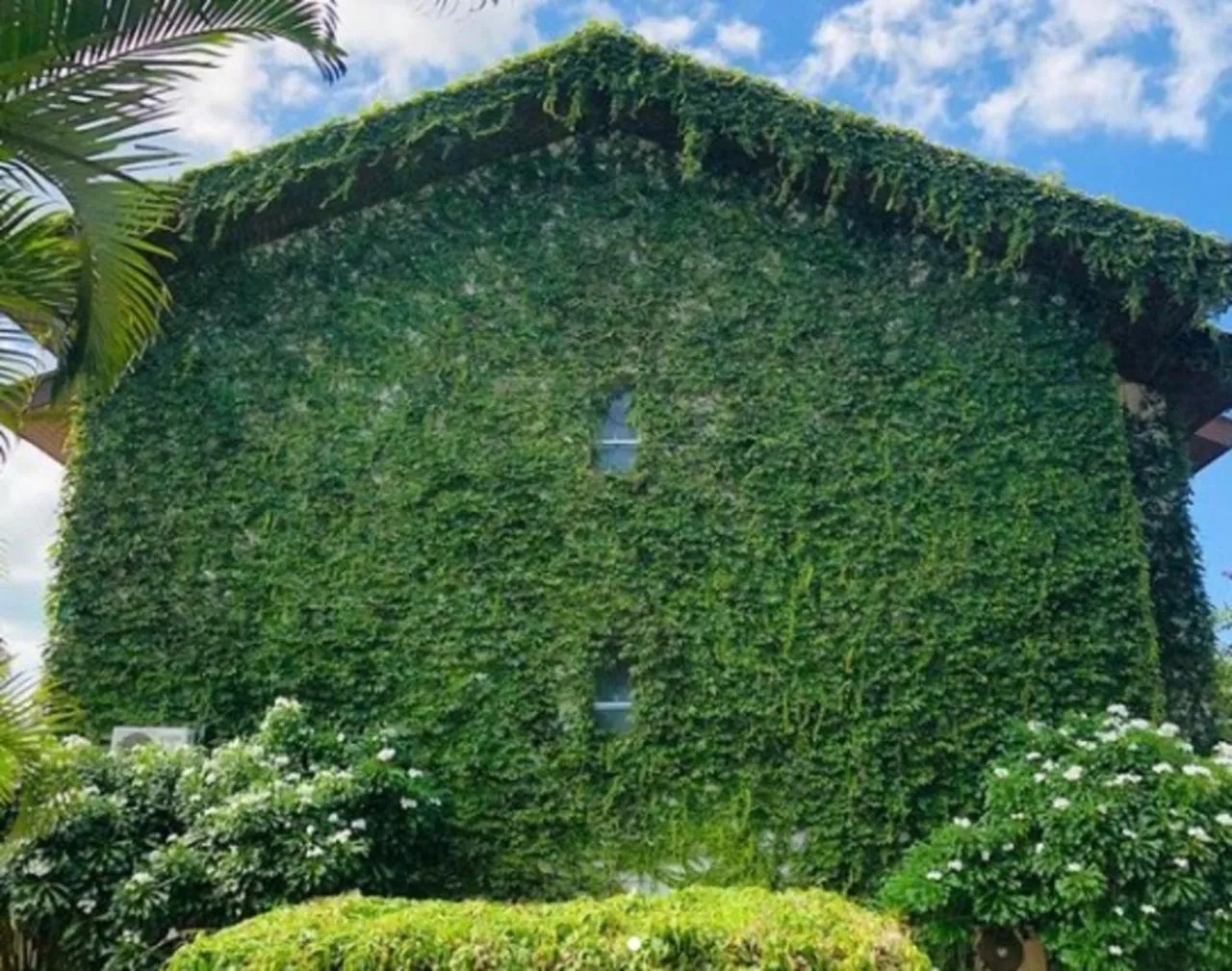 Natural landscape in Balmare Hotel