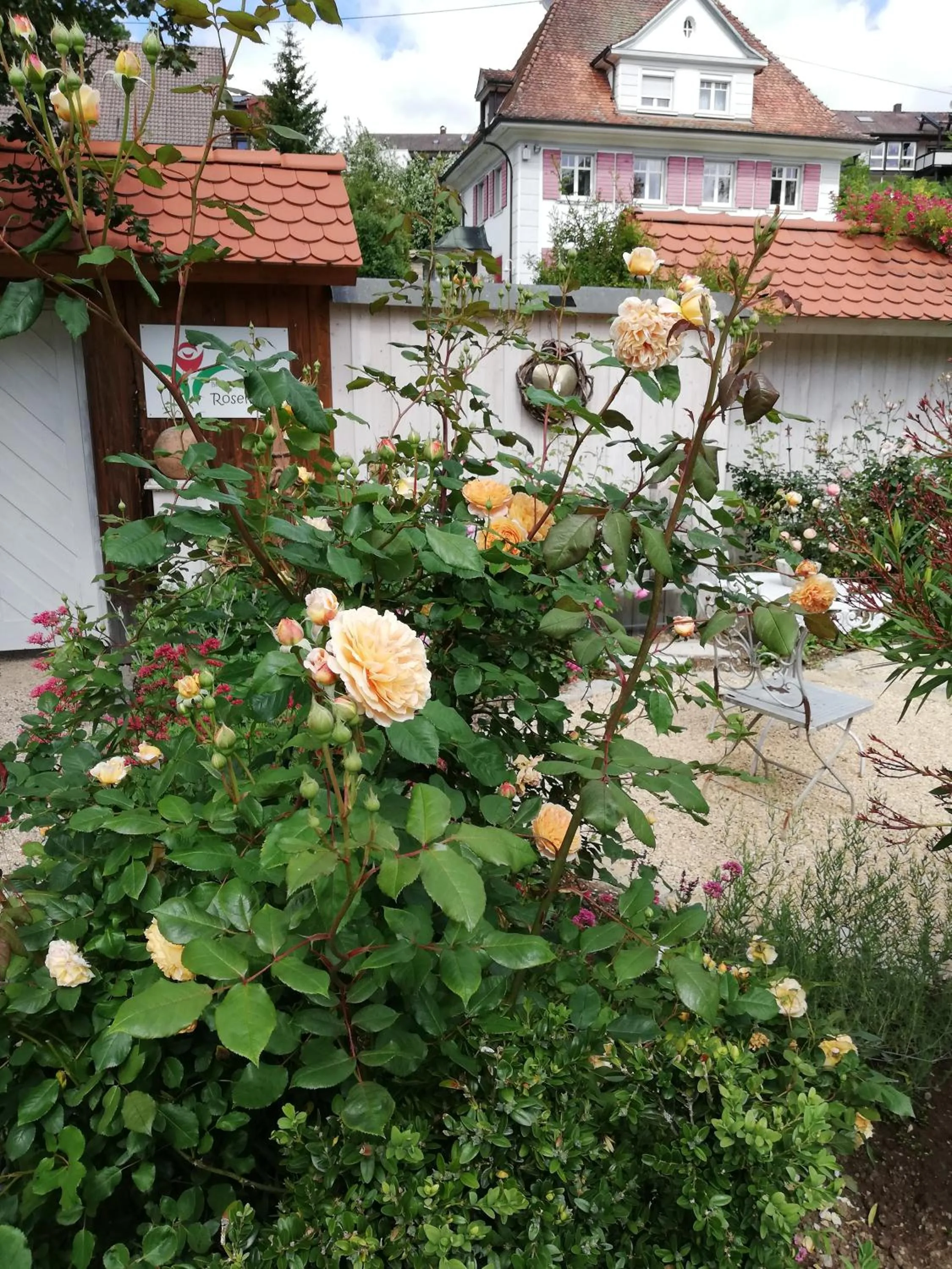 Property building in B&B Rosenliebe