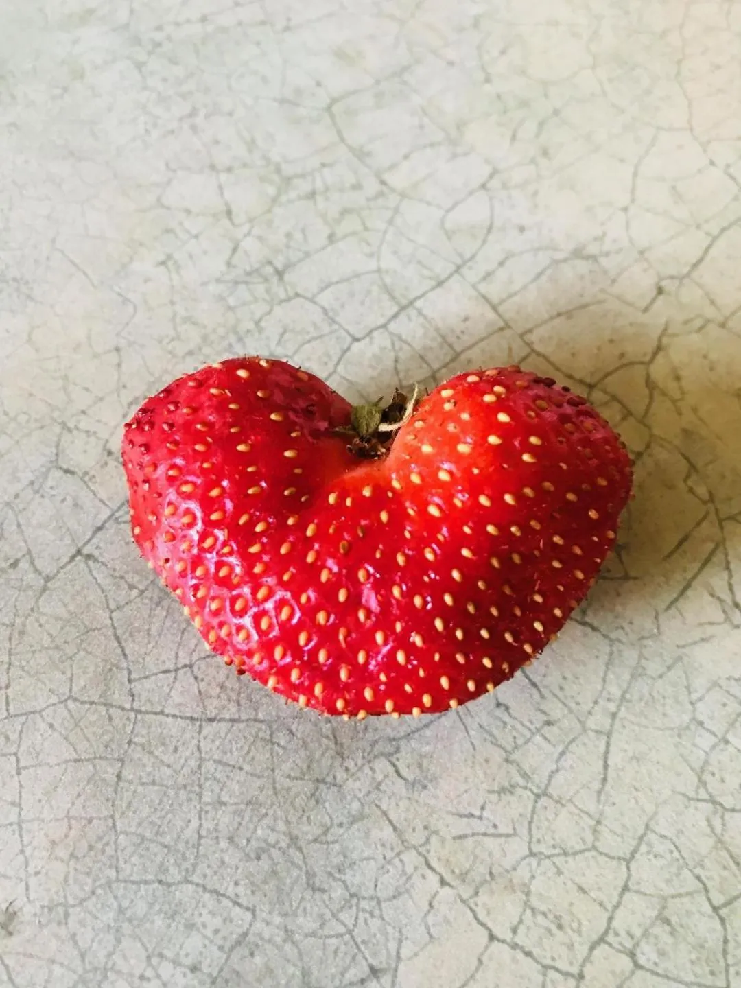 Food in Auberge De Mon Petit Chum B&B