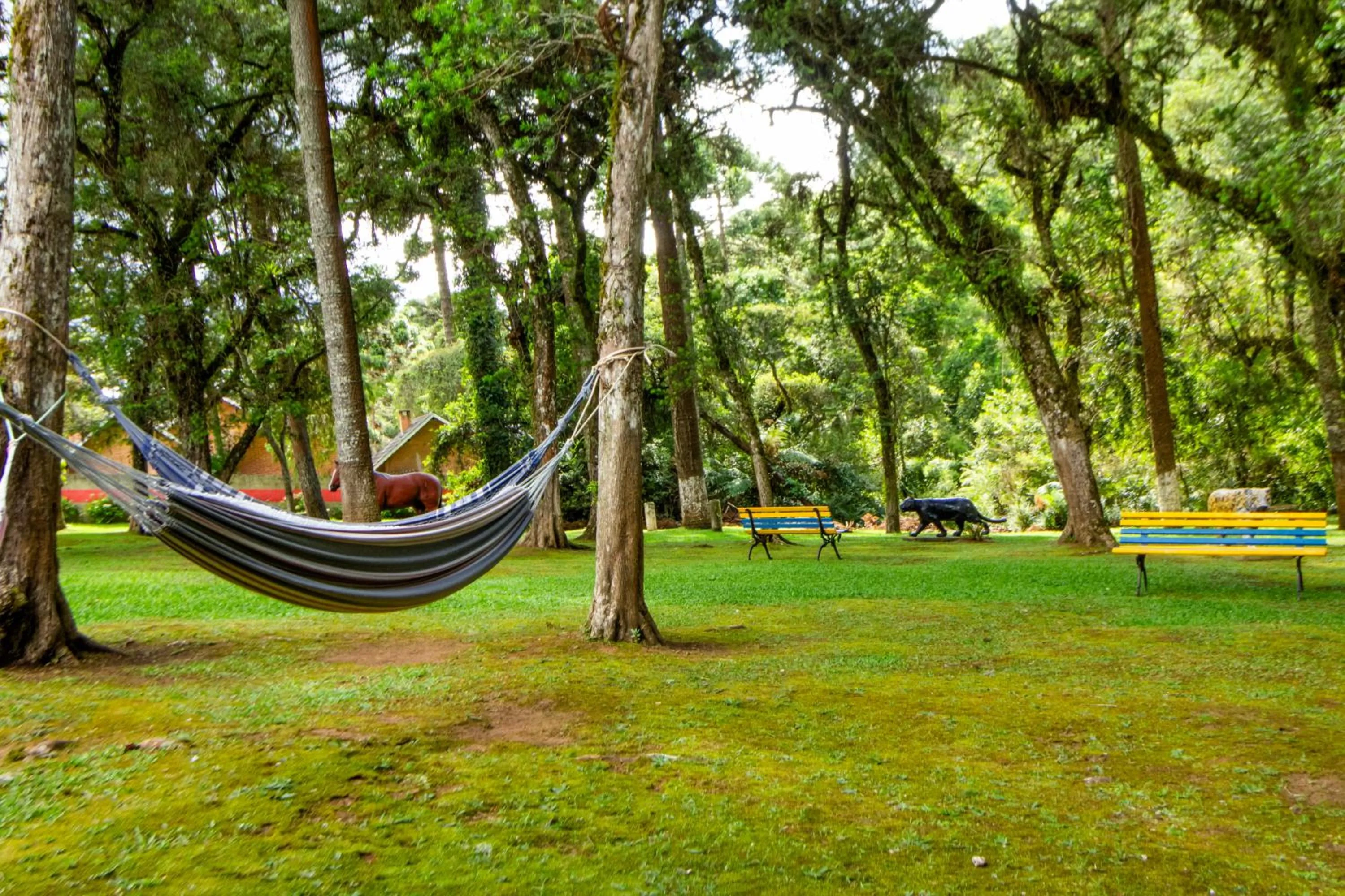 Day in VELINN Áustria Hotel Monte Verde