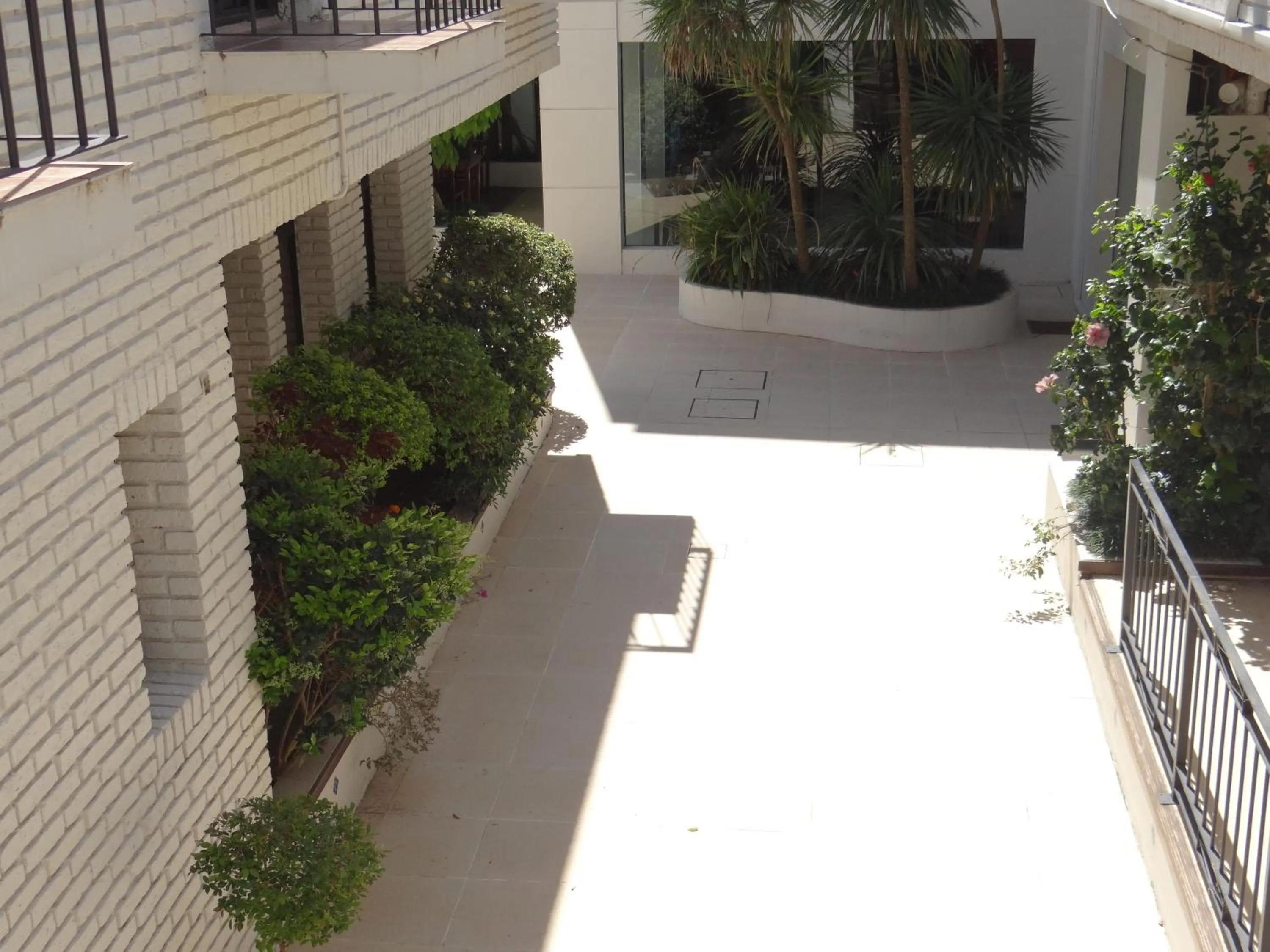 Patio in Hotel Italiano