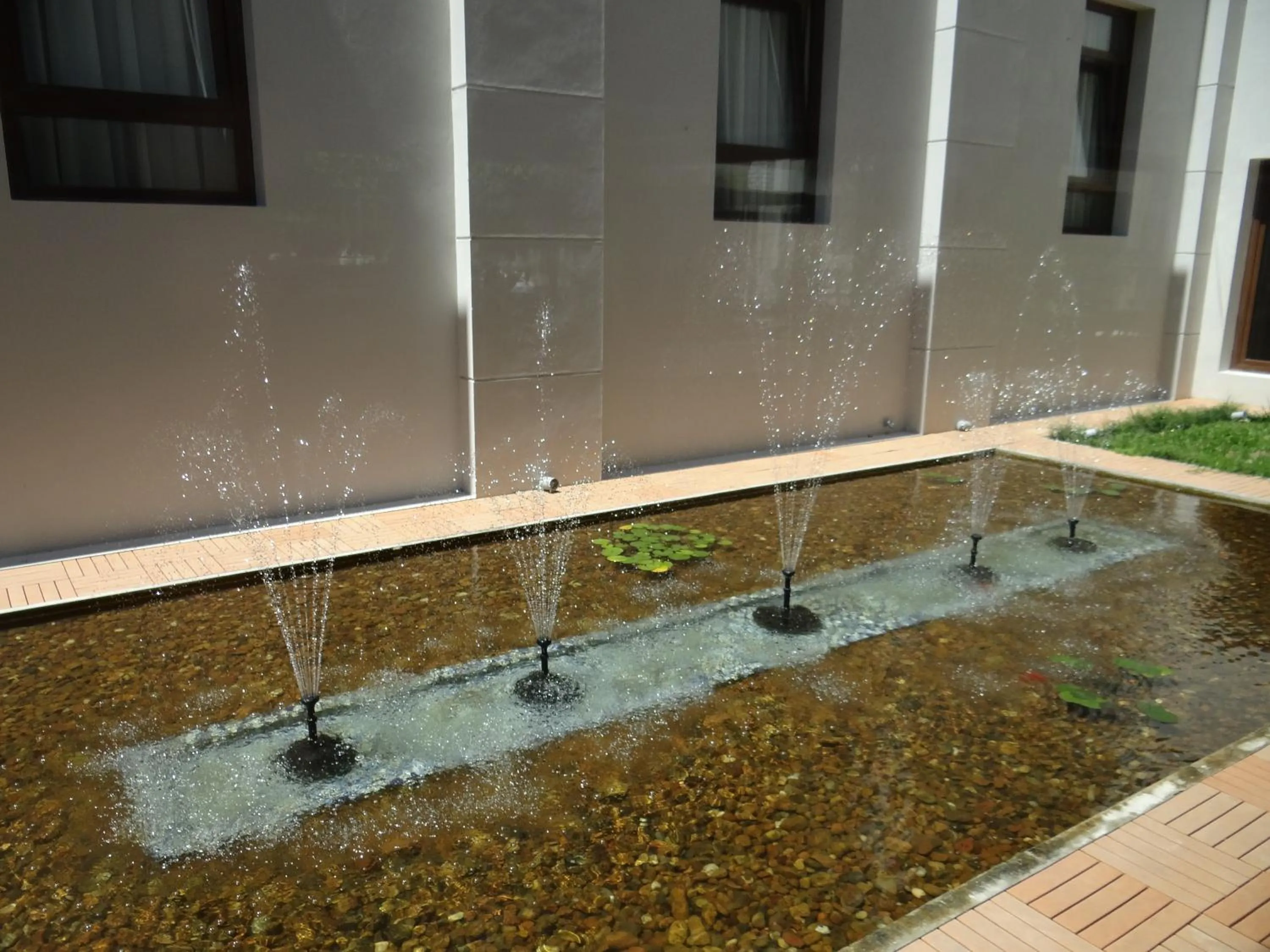 Garden in Hotel Italiano