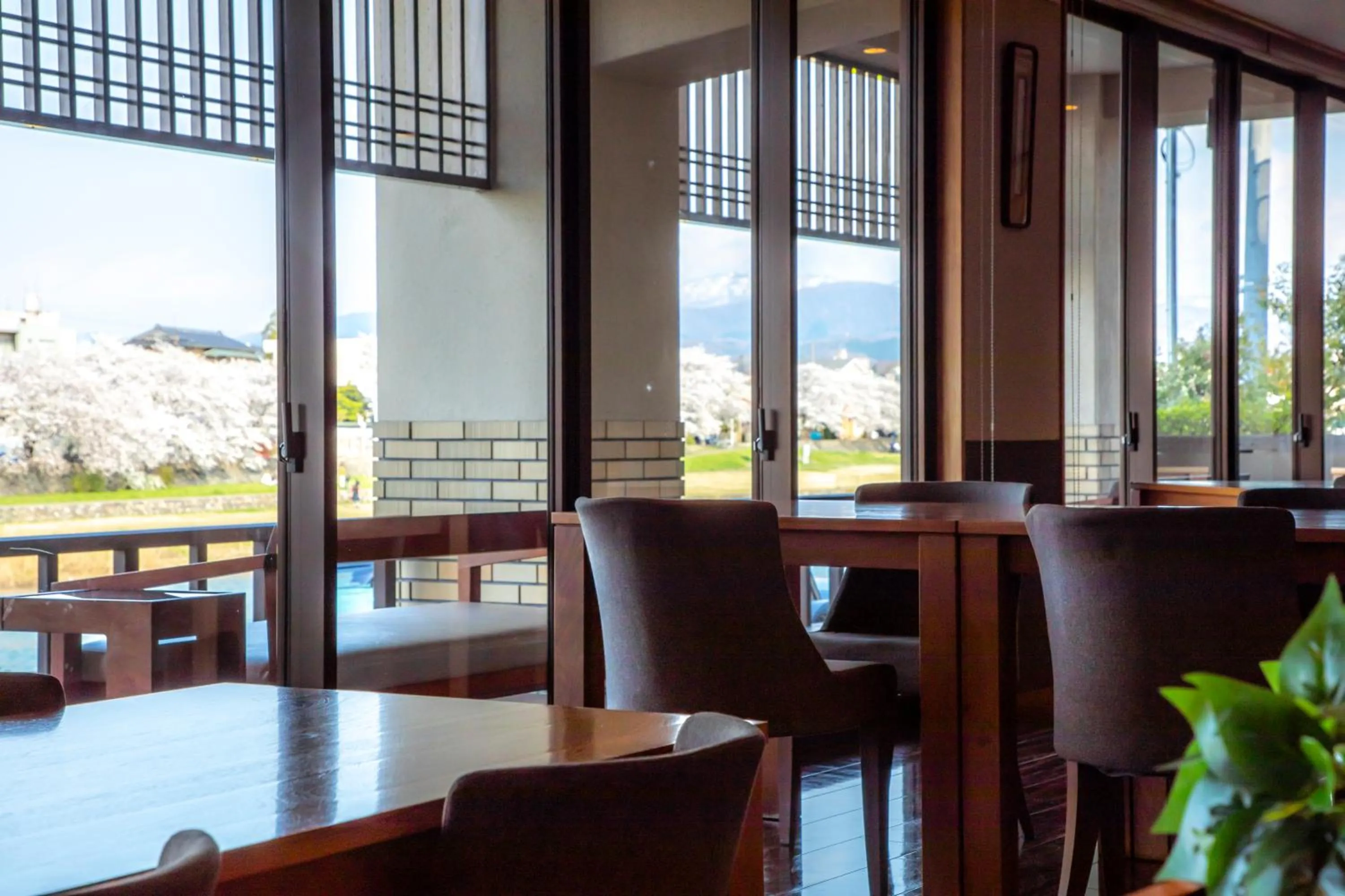 Restaurant/places to eat in Yuyaruru Saisai