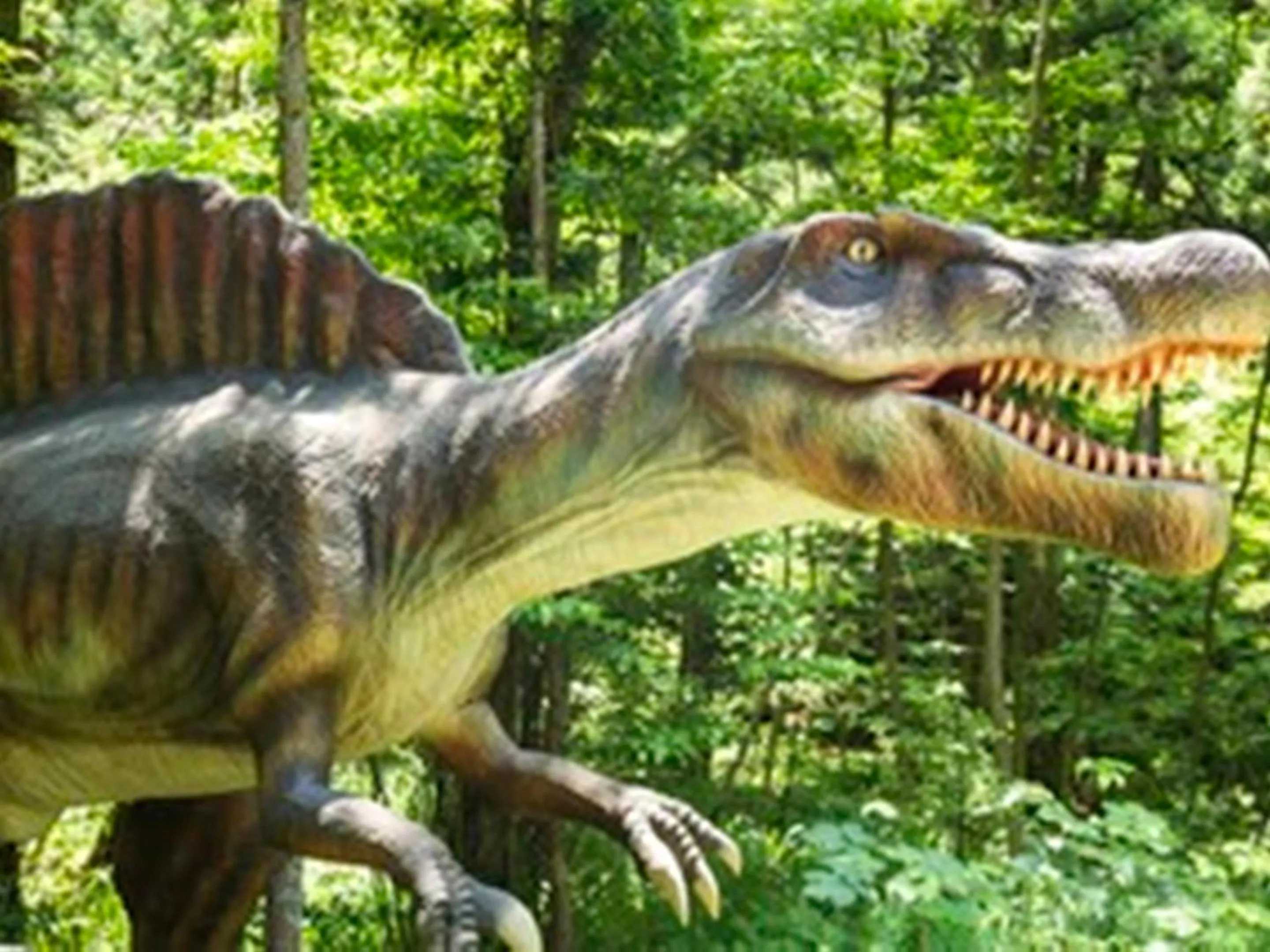 Nearby landmark in Houei Ryokan