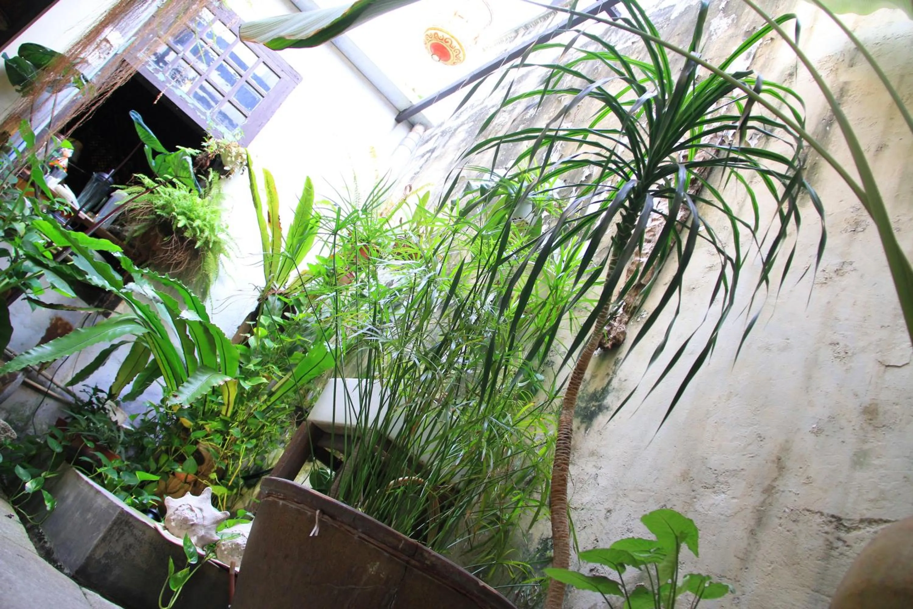 Restaurant/places to eat in MoonTree47