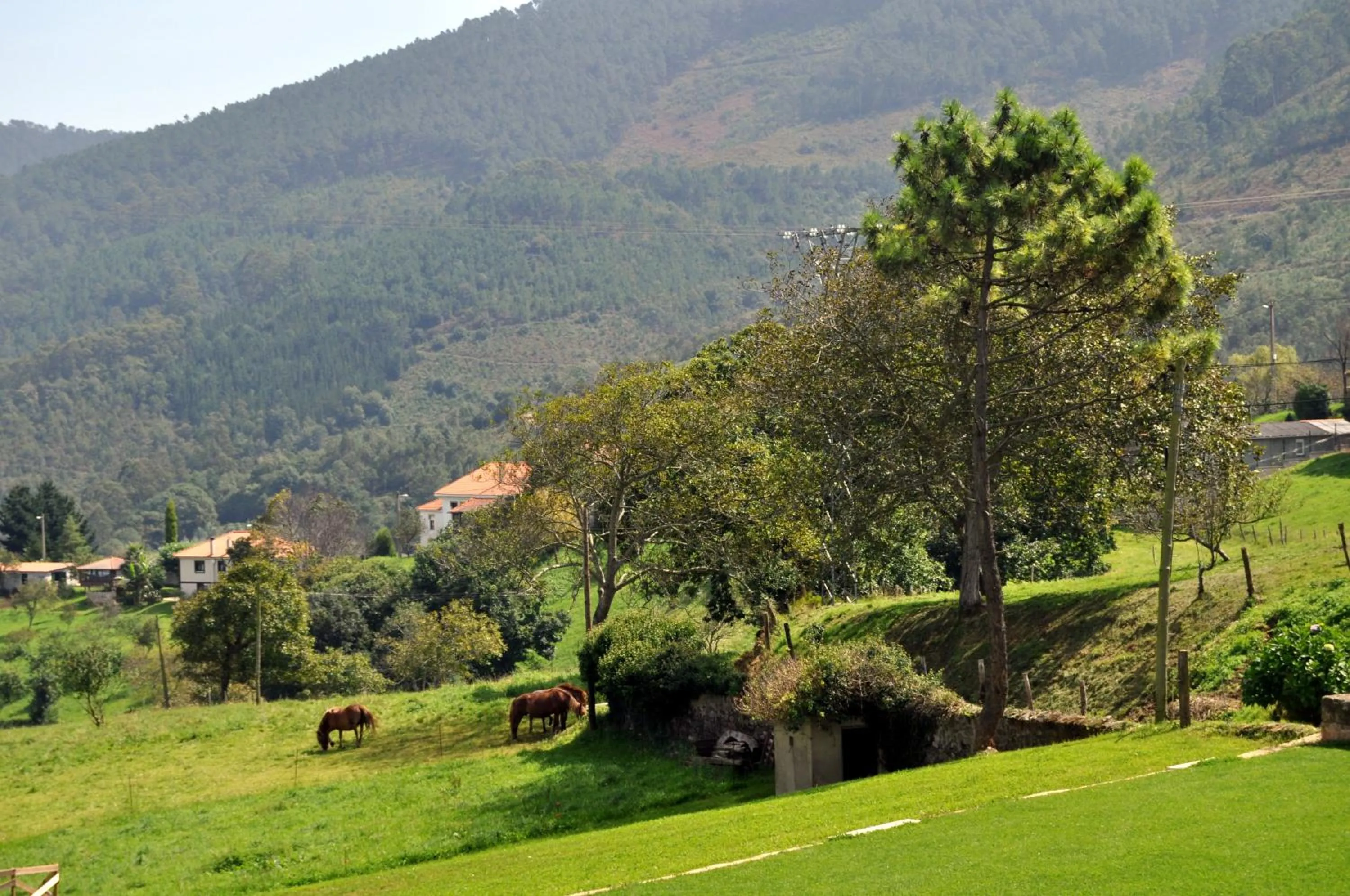 Garden in Casona la Sierra