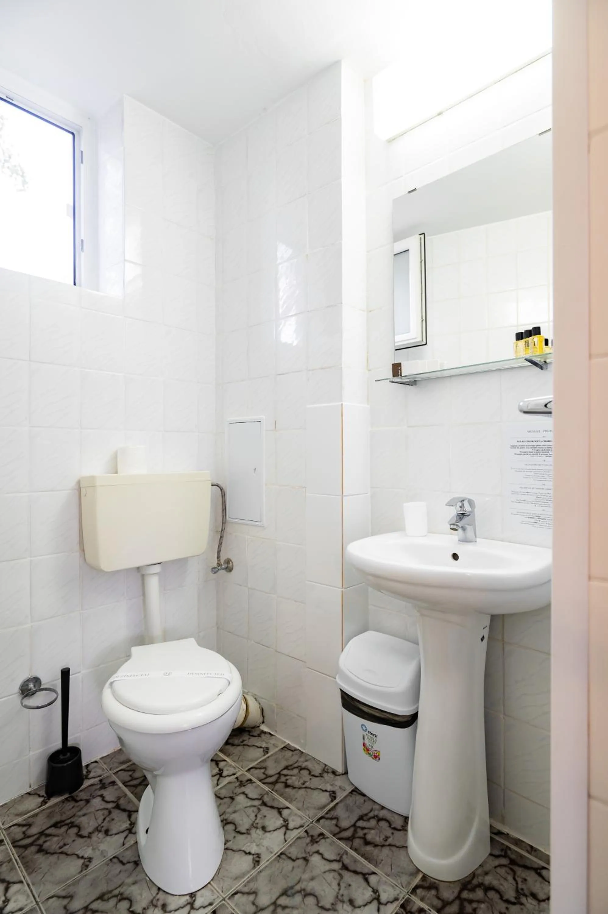 Complex Paloma Coral