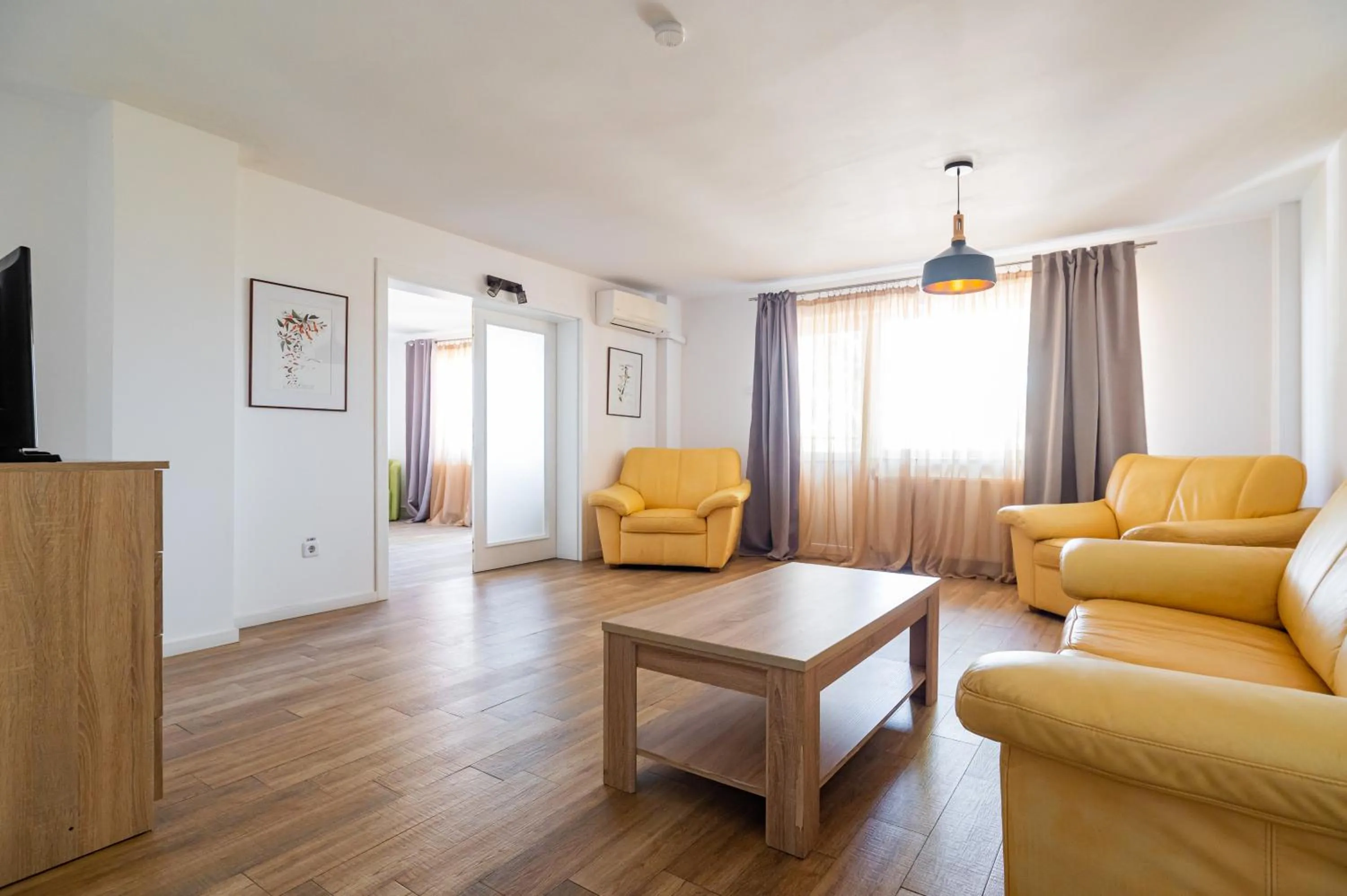 Complex Paloma Coral