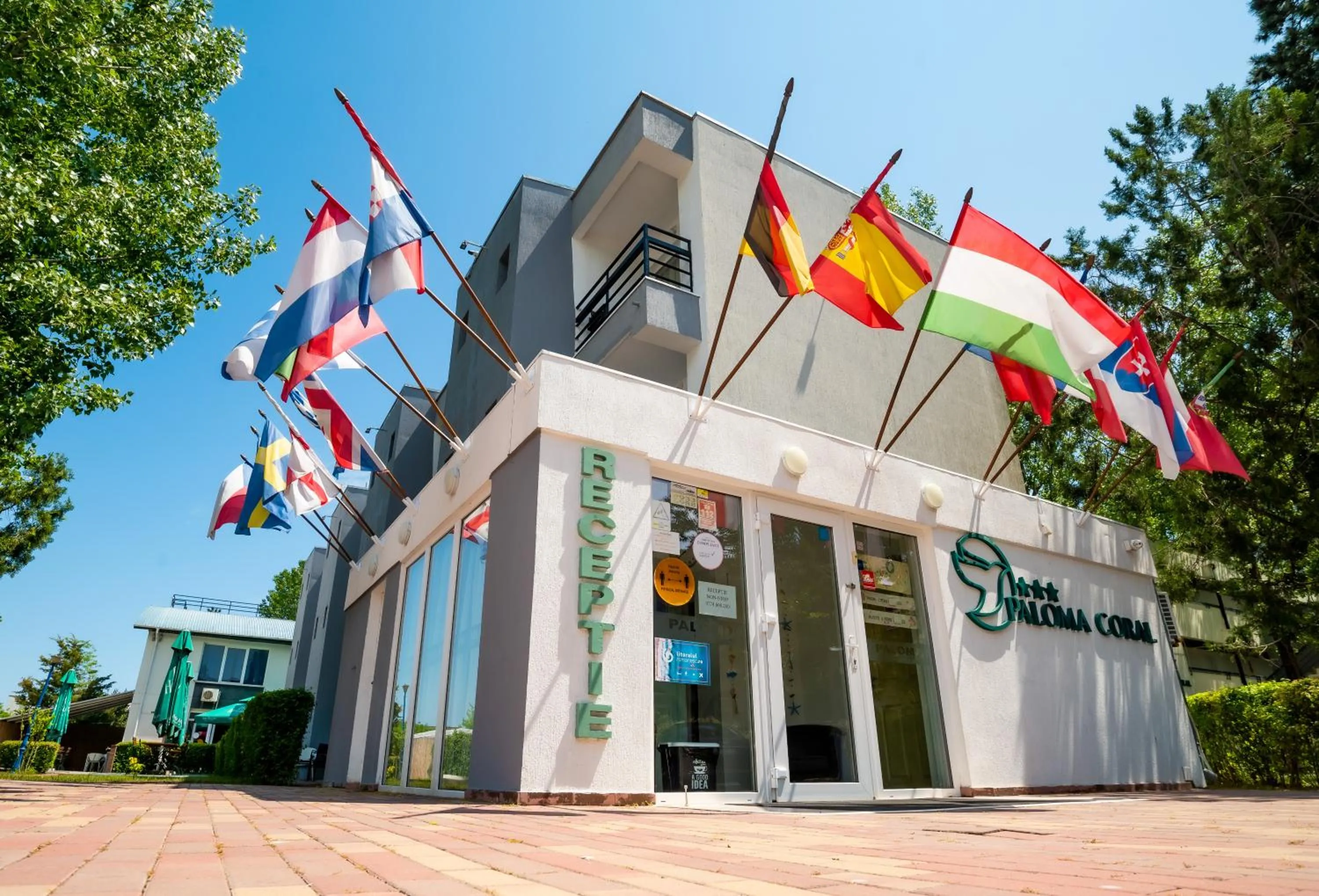 Complex Paloma Coral