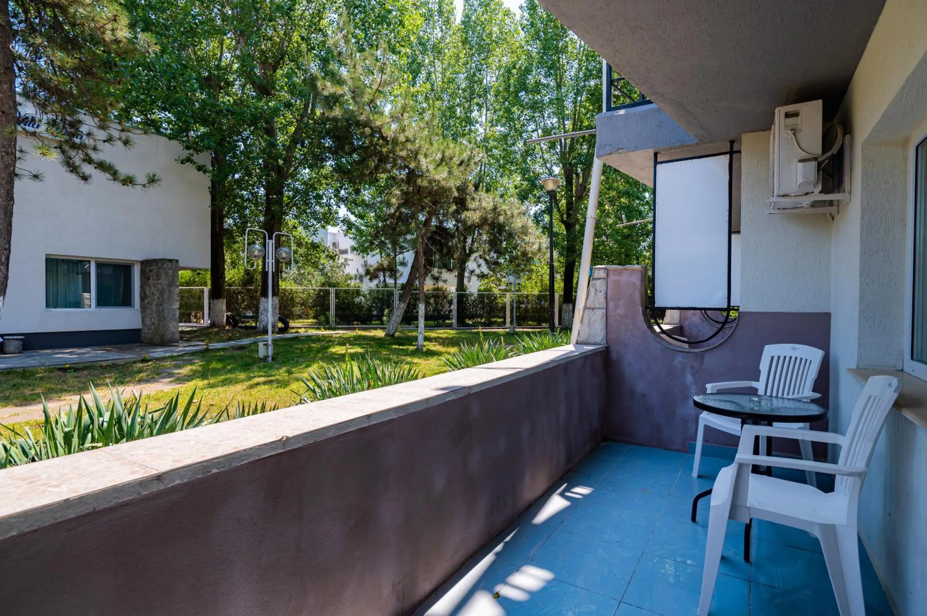 Complex Paloma Coral