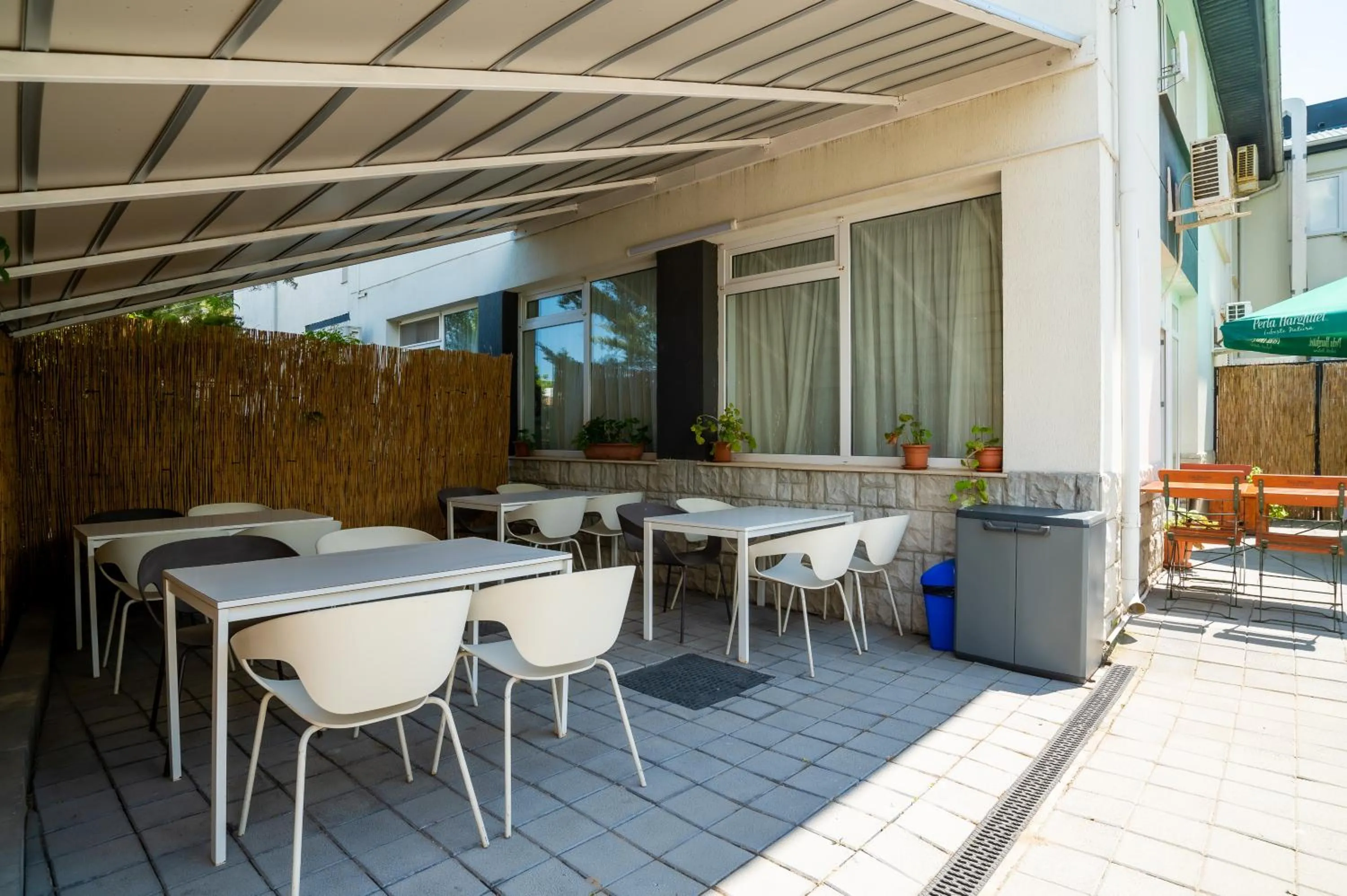 Complex Paloma Coral