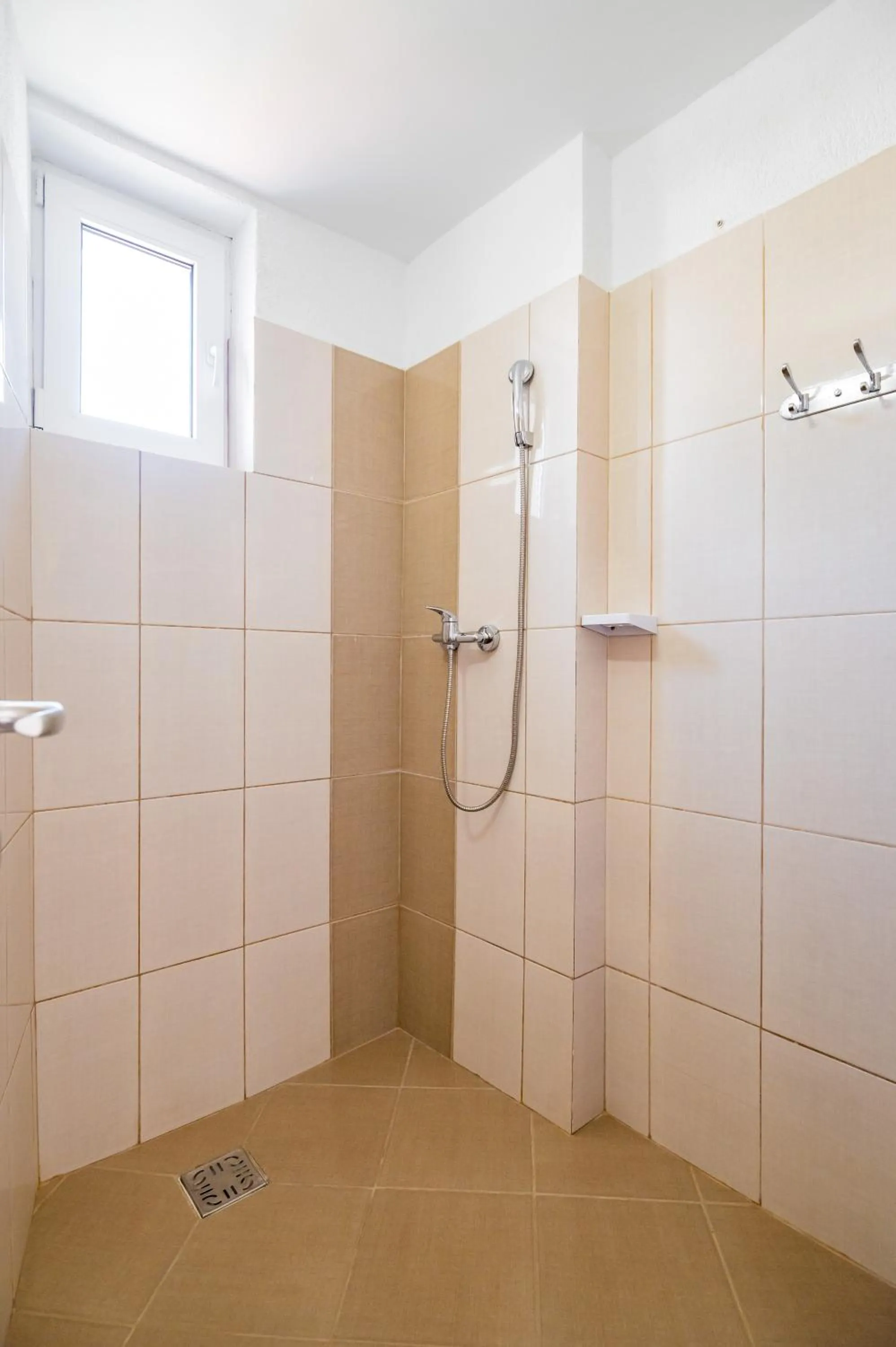 Complex Paloma Coral