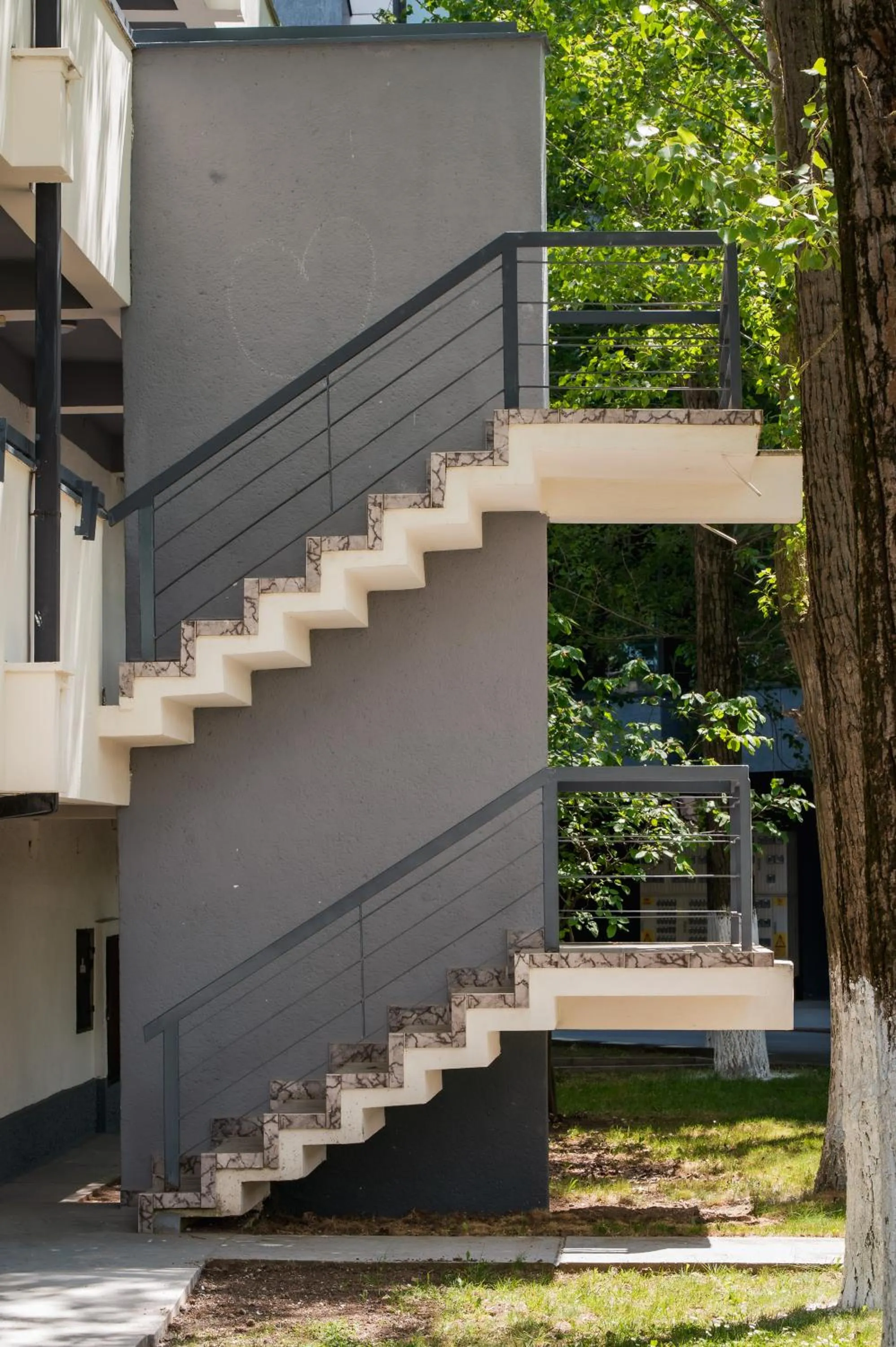 Complex Paloma Coral