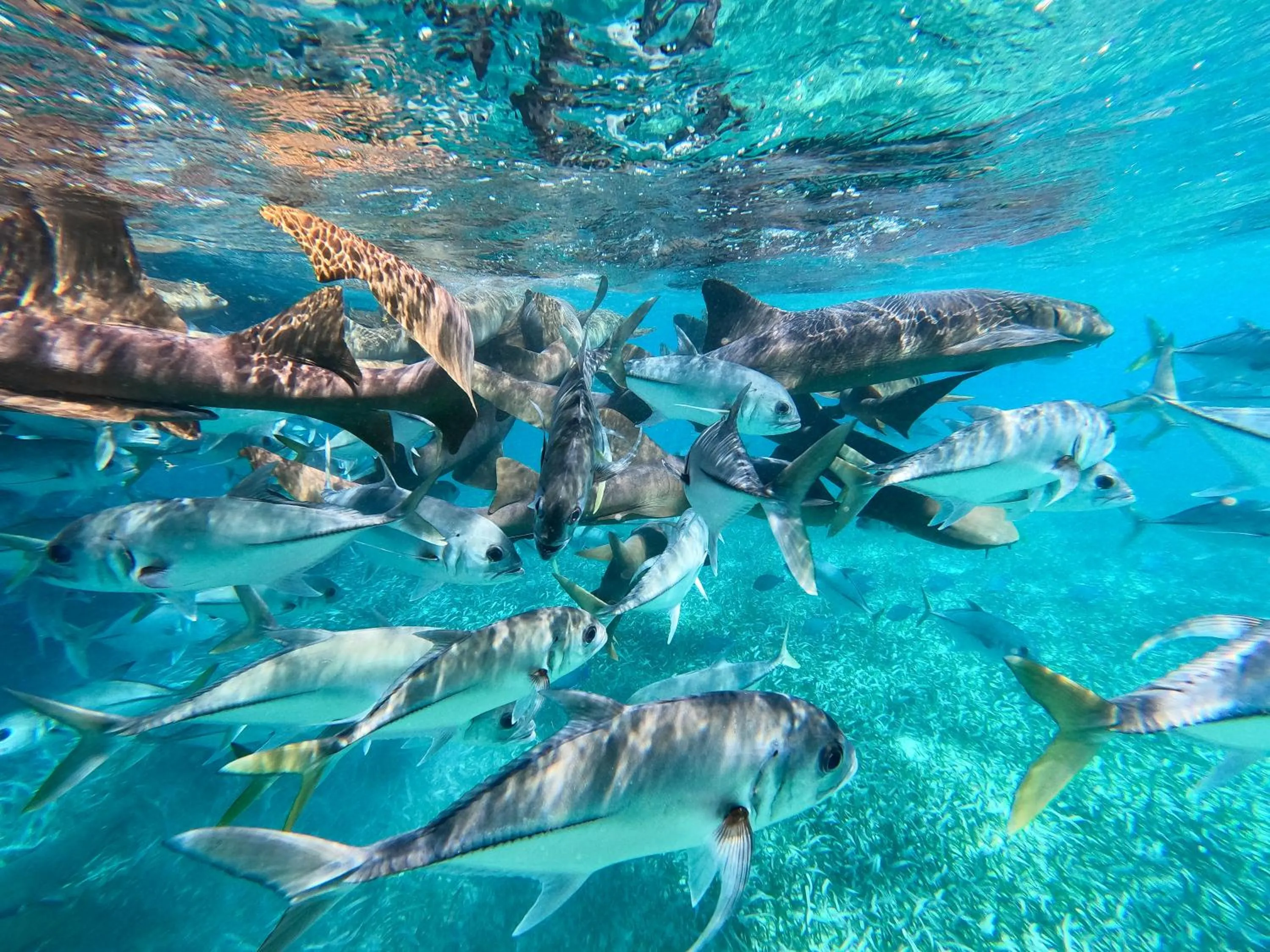 Activities in Playa De Sala Boutique Hotel