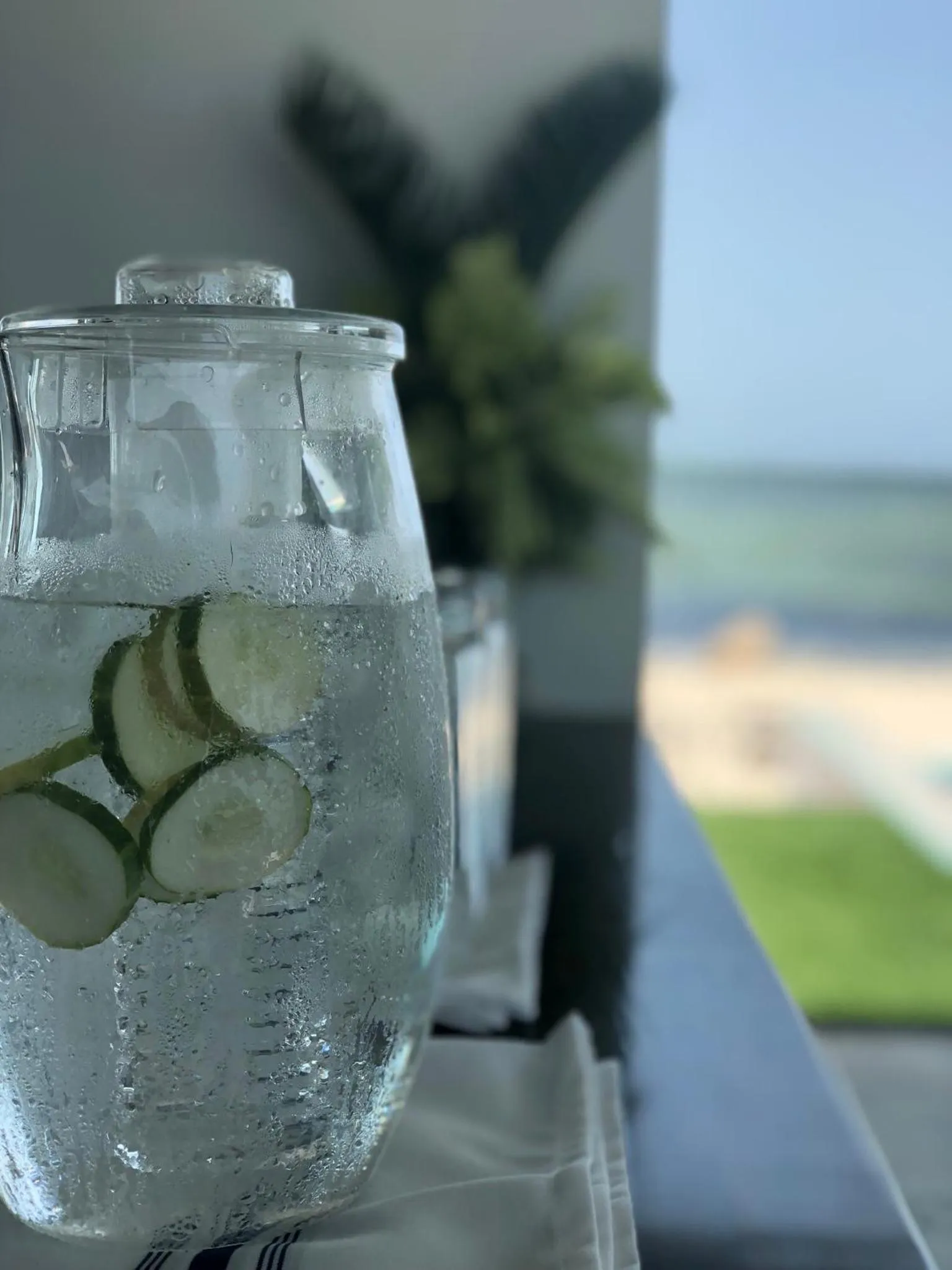 Drinks in Playa De Sala Boutique Hotel