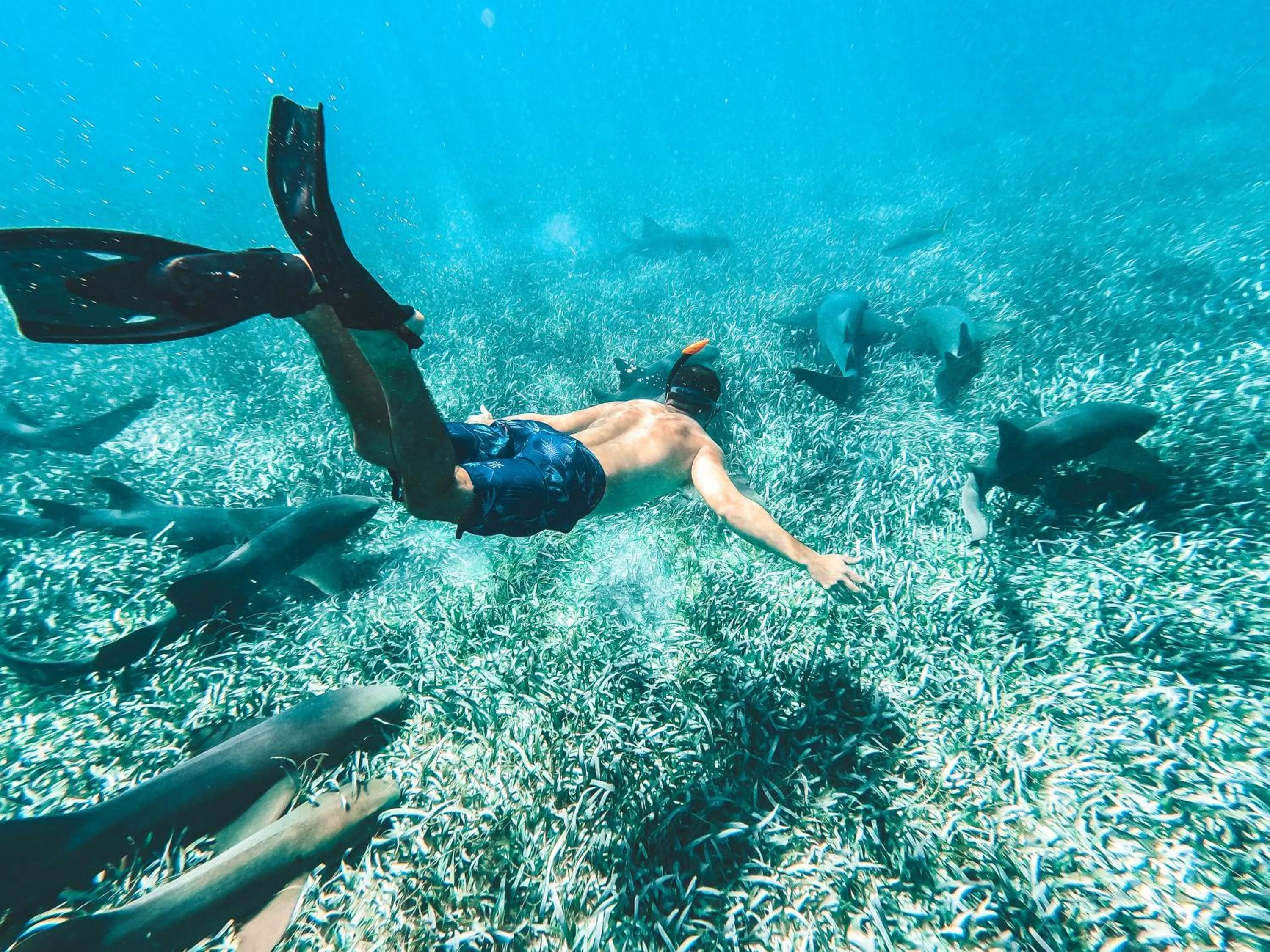 Off site in Playa De Sala Boutique Hotel