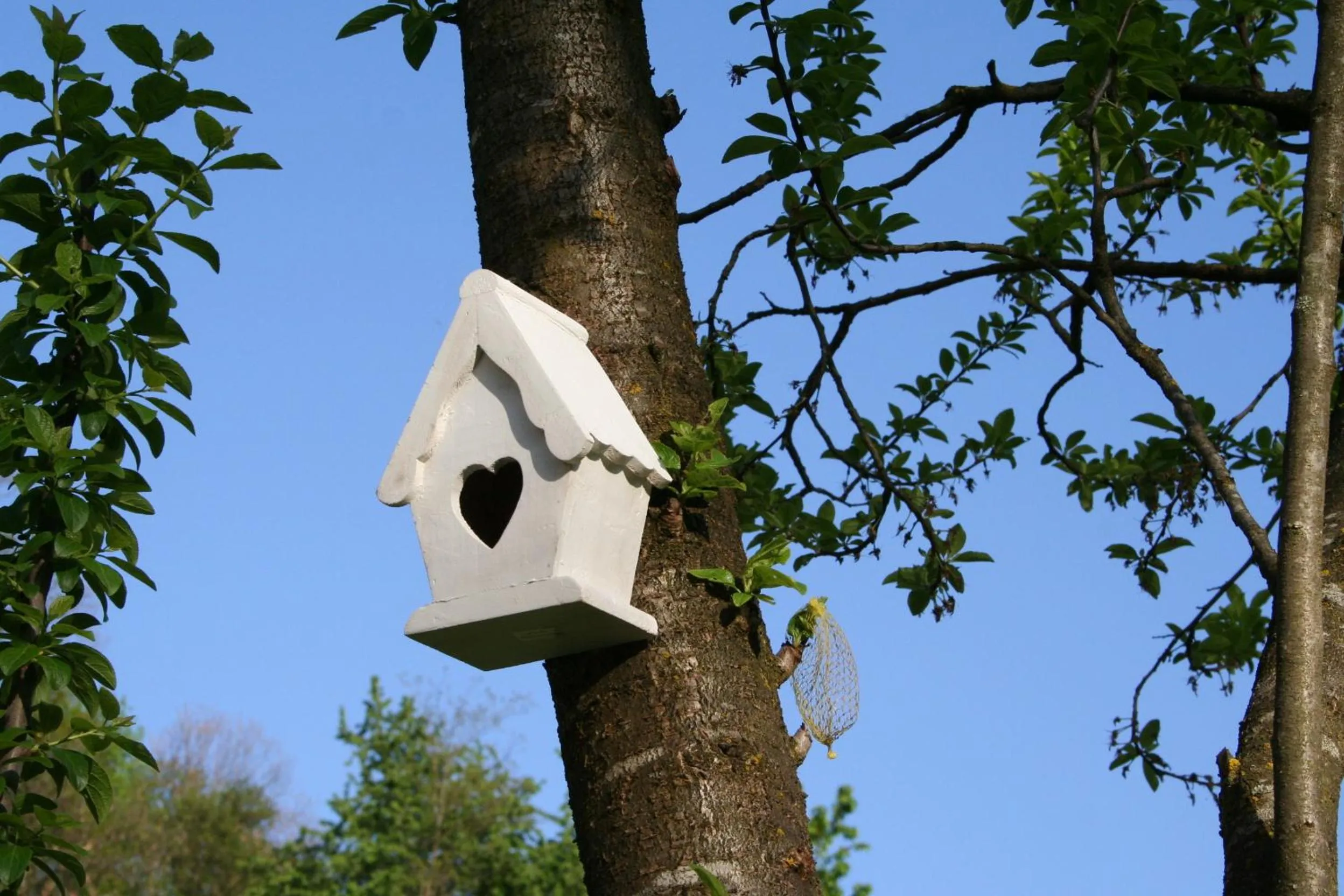 Decorative detail in B&B La Casa Di Campagna